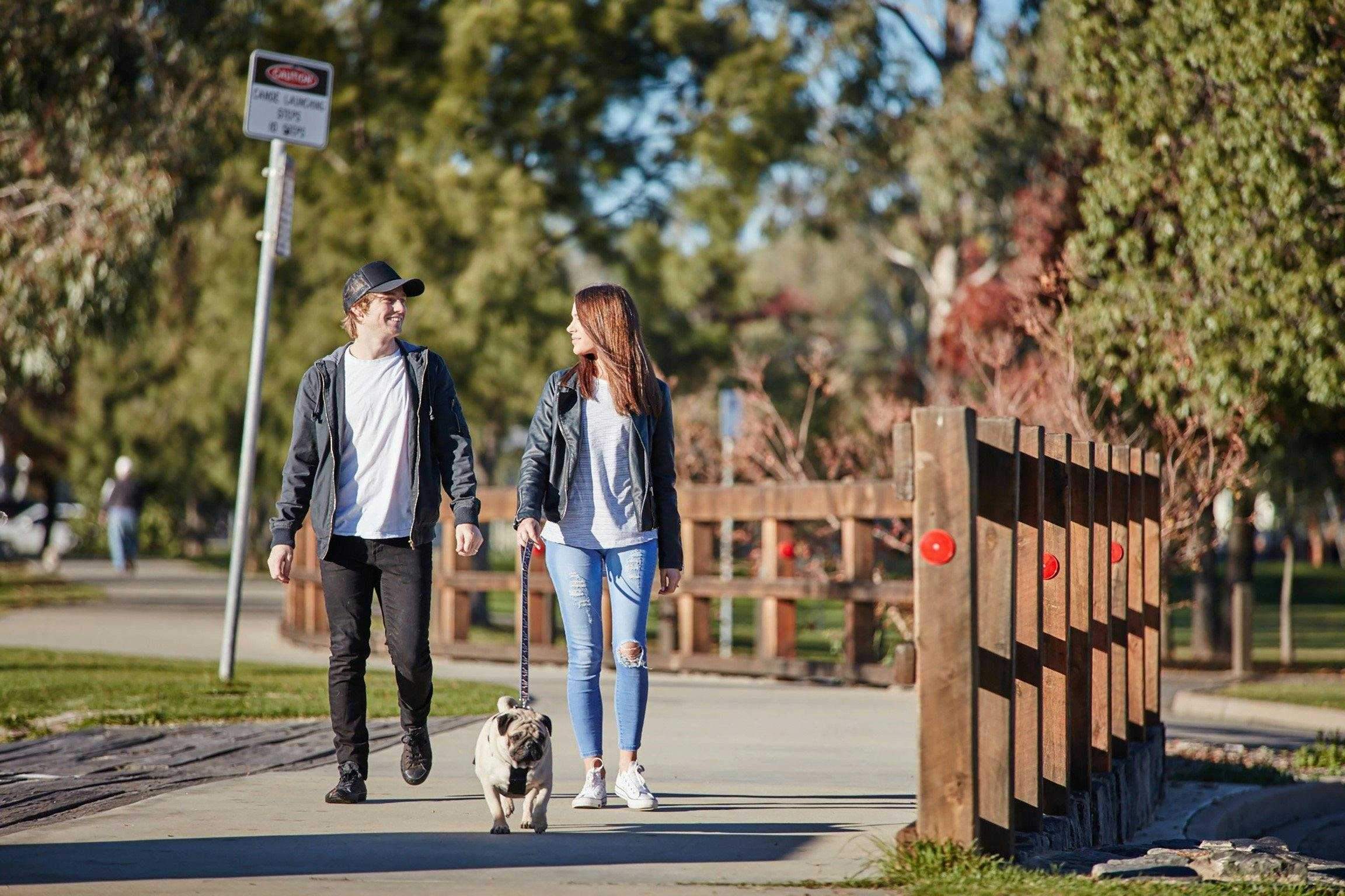 133Ca81Bd84078B27C7F5Fd0E08Dd8Eb