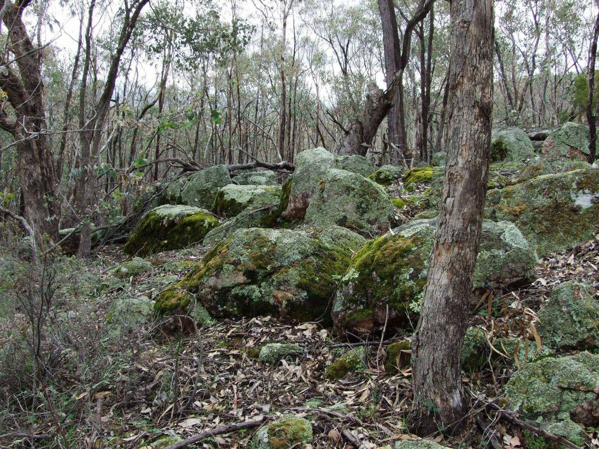 3346C883700E08862F9769A5224A2E48