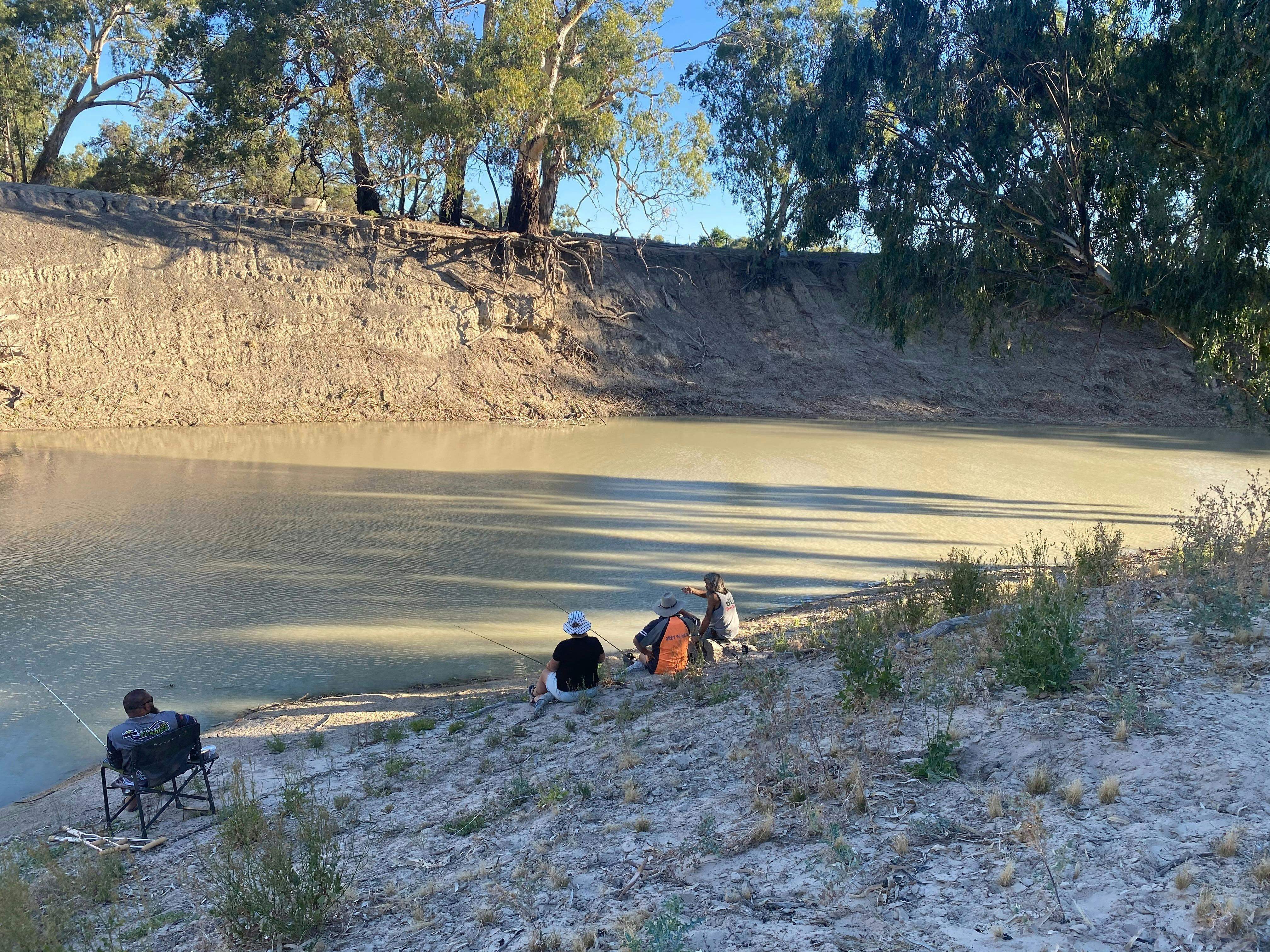 12626198Cf54203C1Af61558Aeab8508