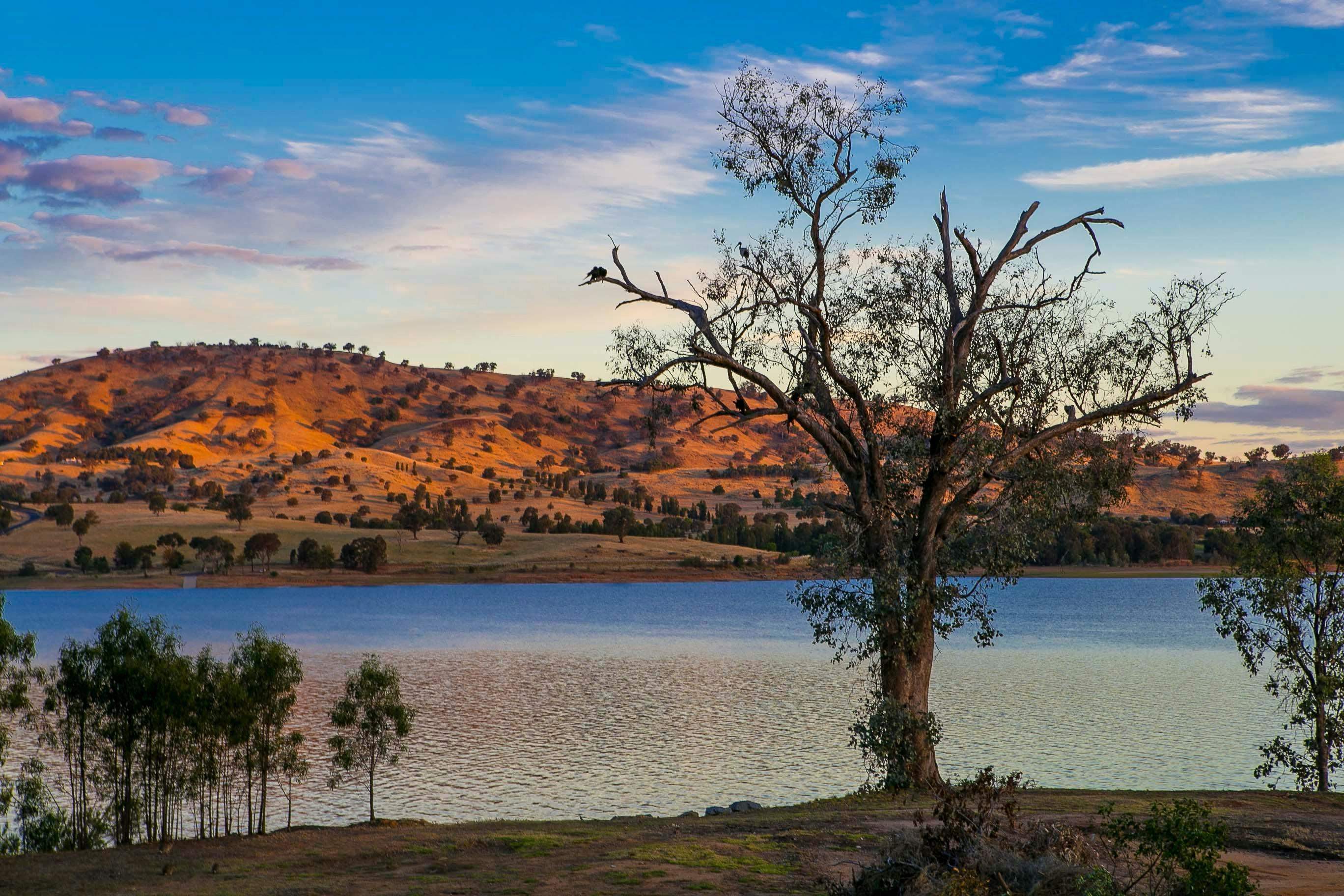 Faf0F6Ee03A7Ad6B4E8E7036F64E47C6