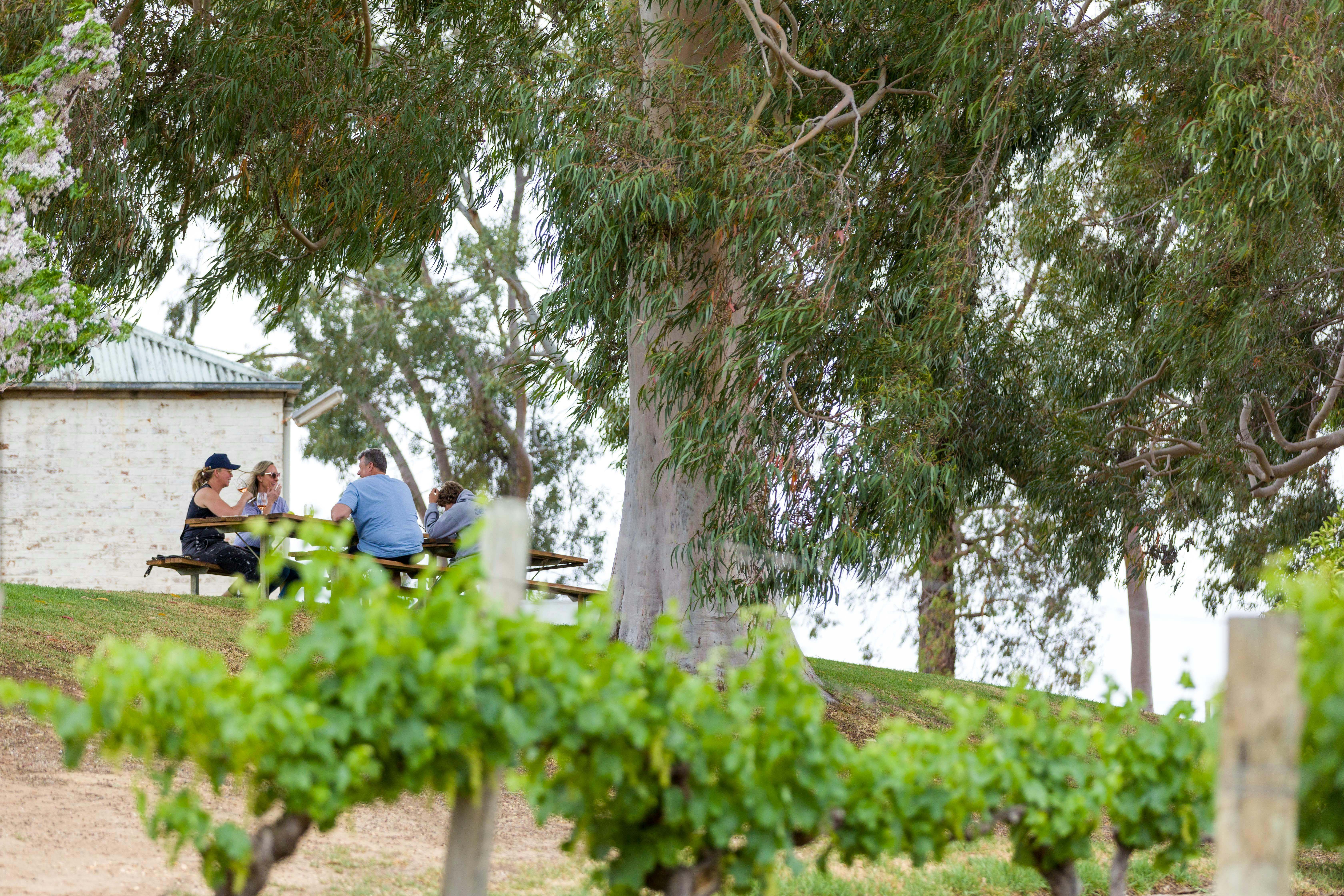 E85Baabed7A455Cadda53Fb9F36F2B7A