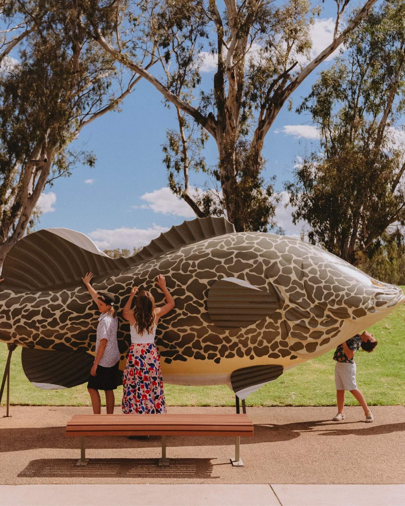 visitthemurray