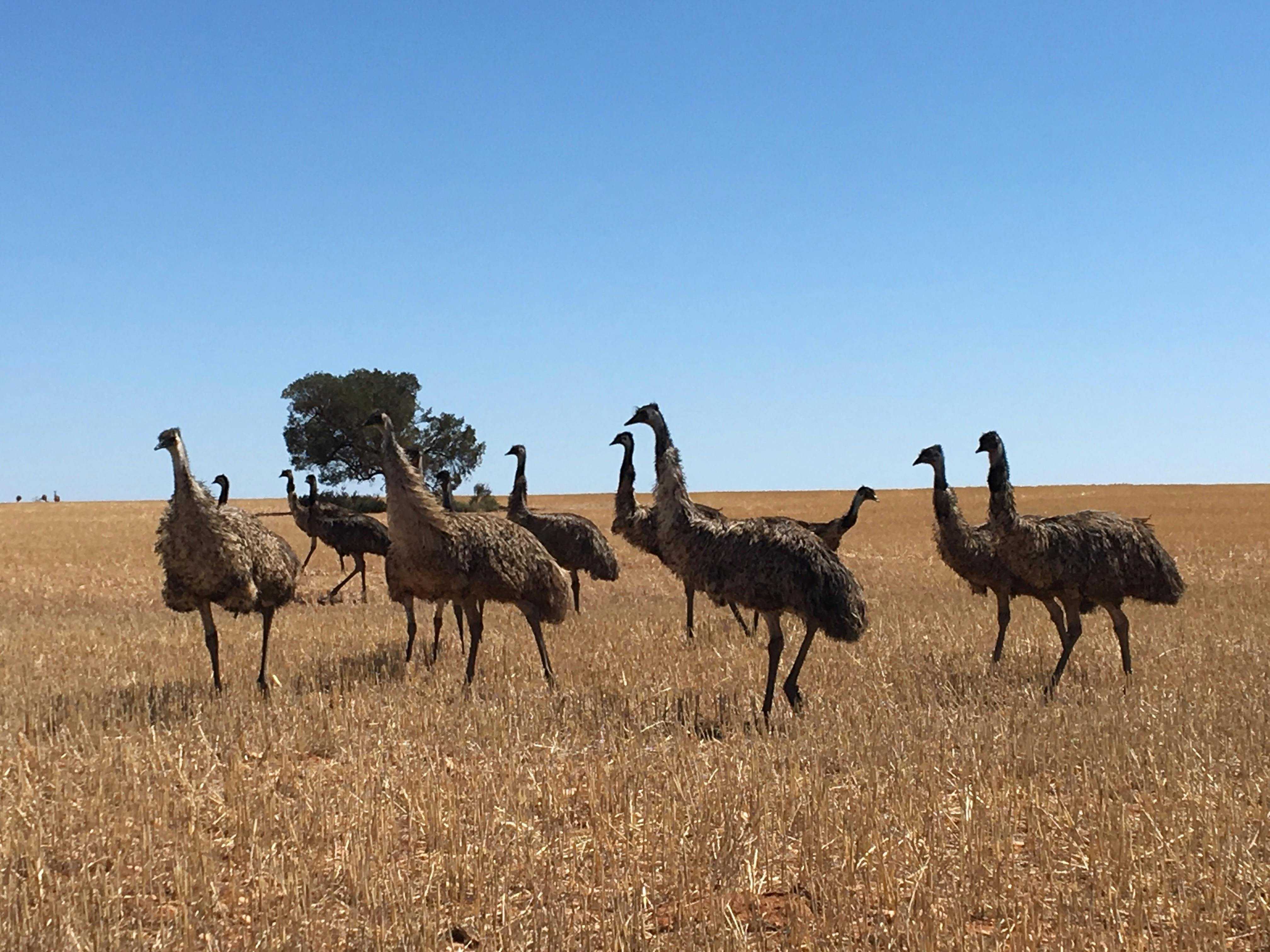 Ef543C725707Ae9De892F789A7C2119C