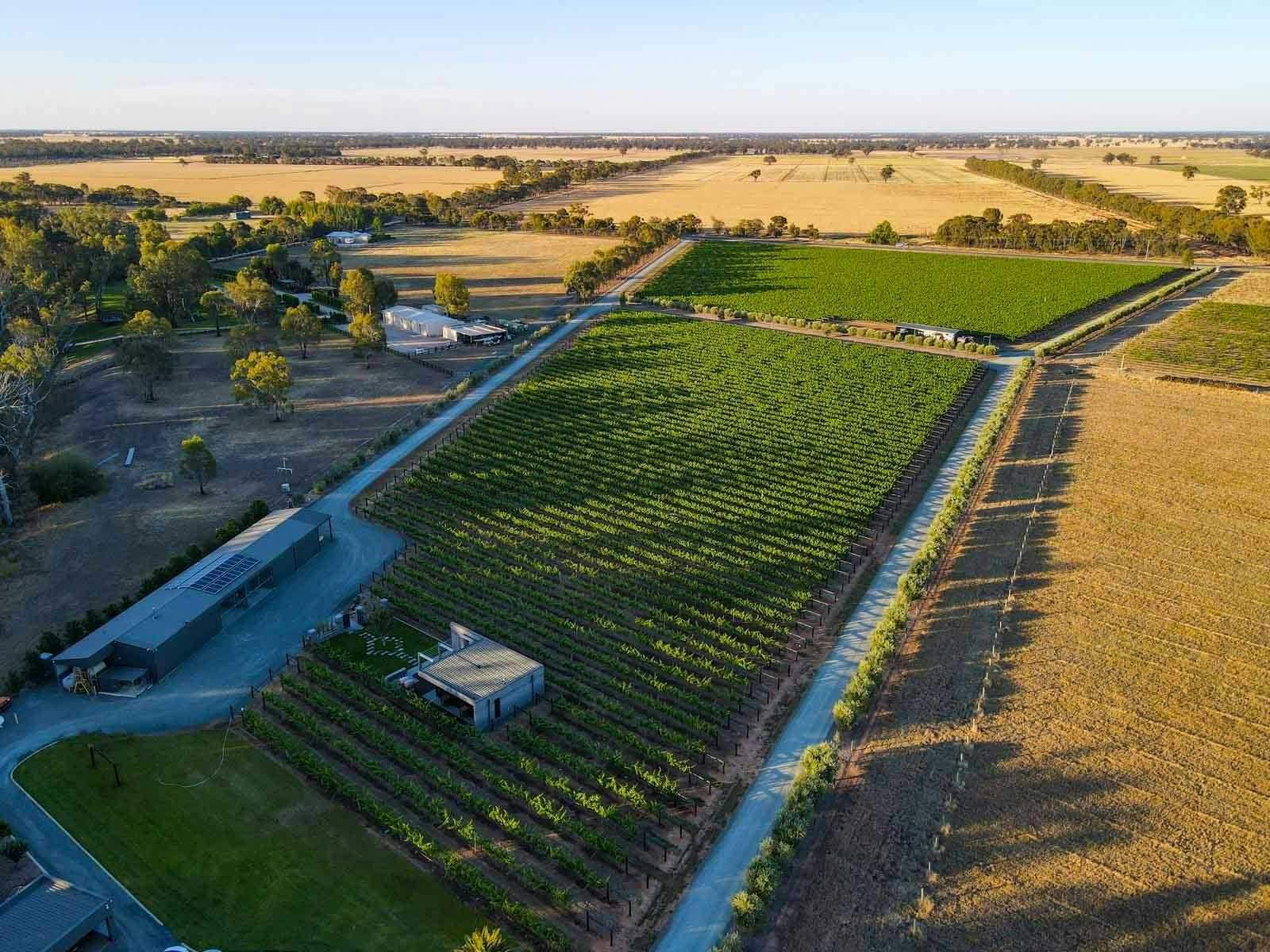 9547Aa9Abf7053Aea602641D6D414Bab