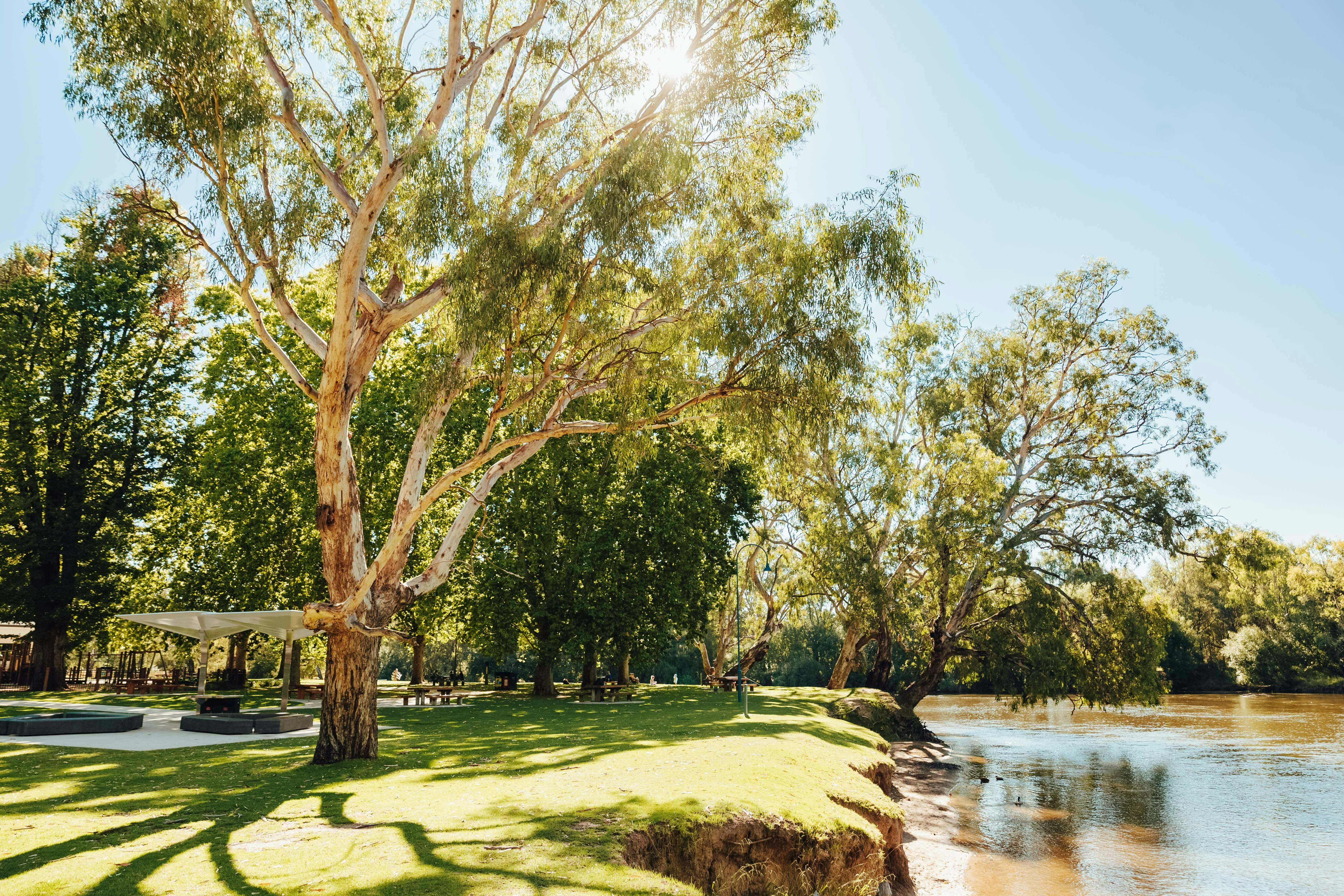 1Faba6A74Ea2Cb855Bff843948Aa3778