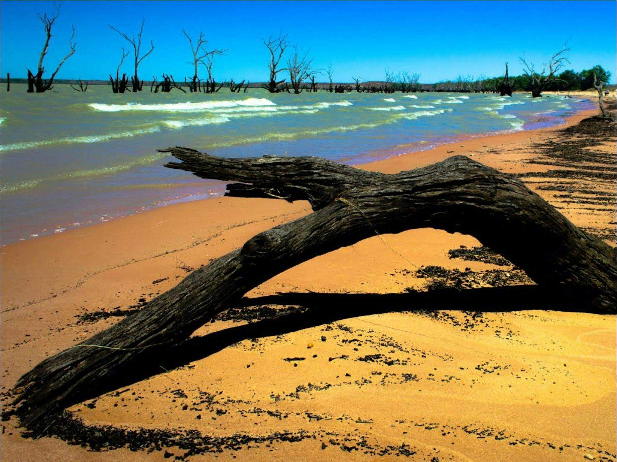 332E0Ccec08C5275B71Ab053F7D53B06