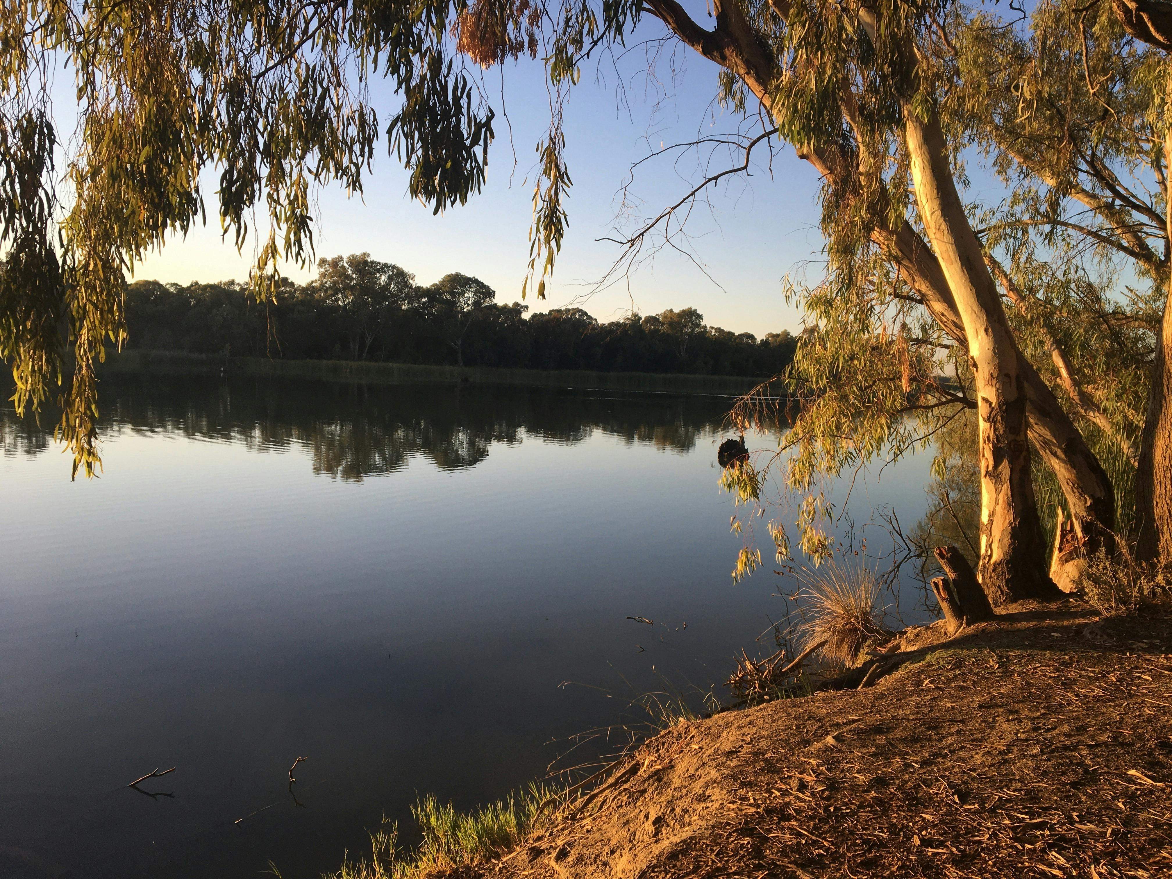 C3C403E0D5Bd3Fdc16Fb8E2C781D6Ae2