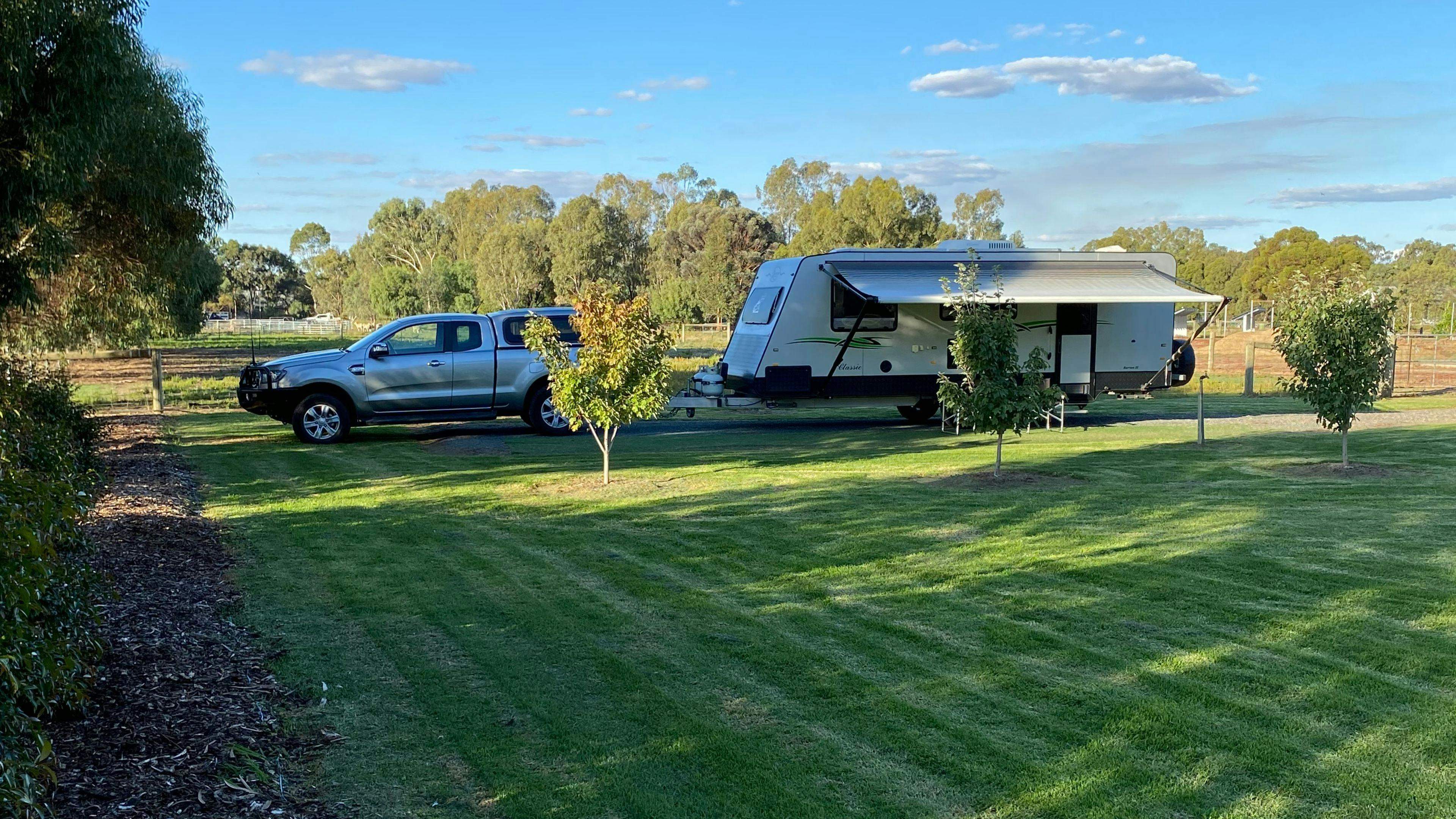 Denitom-Acres-Maple-Riverina_Y8Sufwk