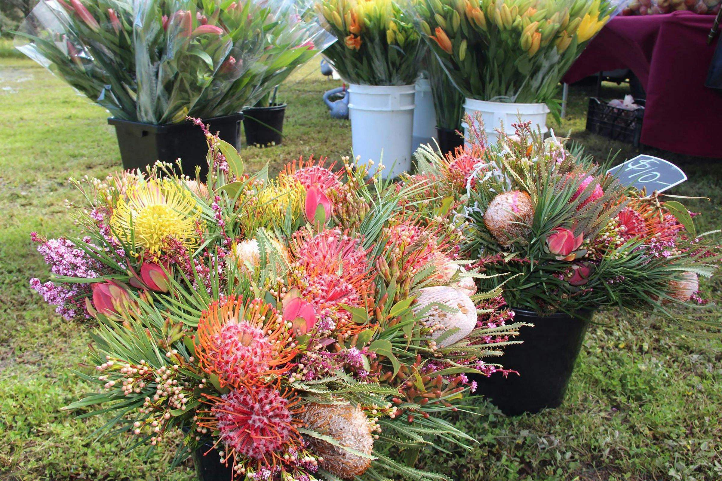 07377718Ed8860B6Aa7Fb4C02E94C1Aa