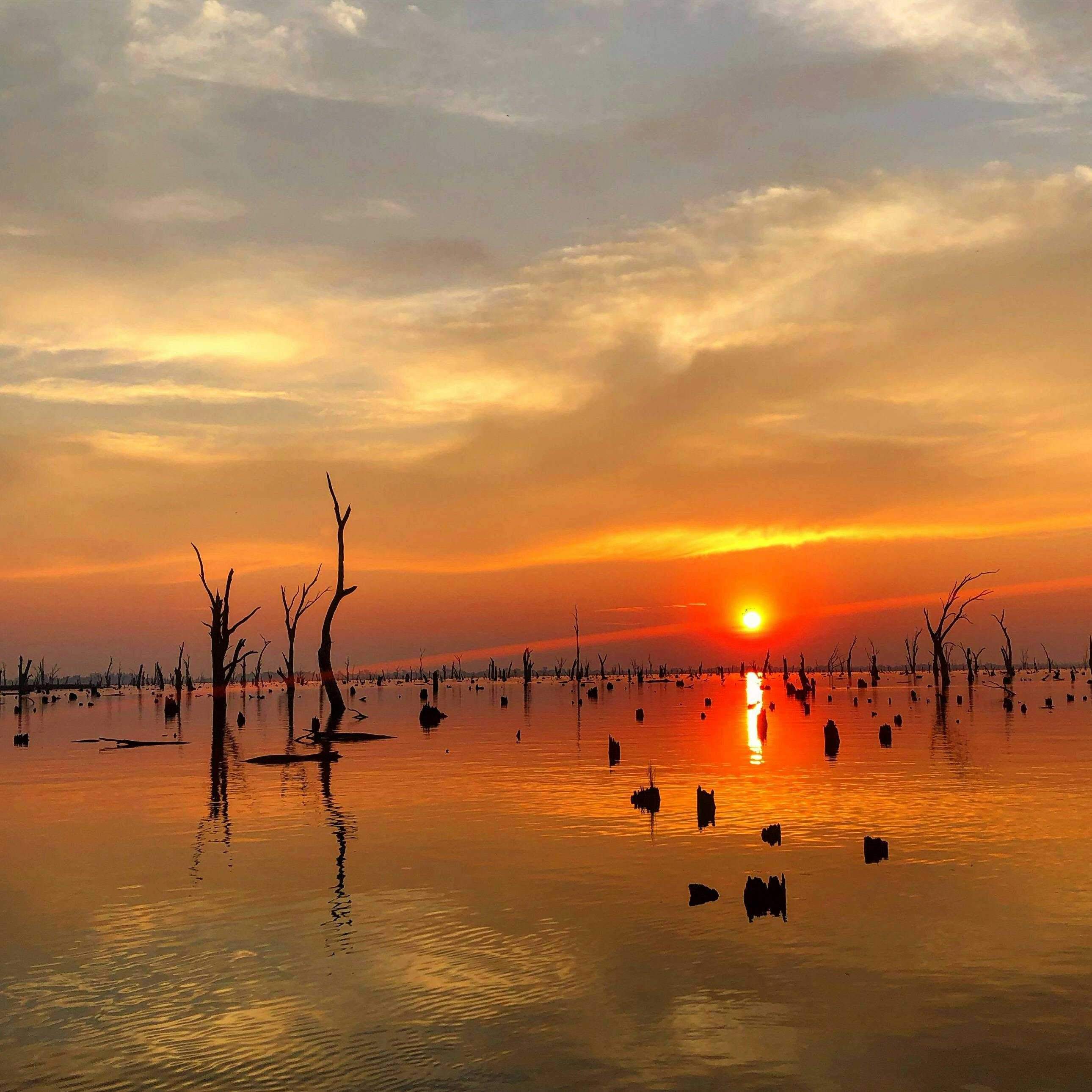 03D36F949482694E9A75626D8B7E1Af0