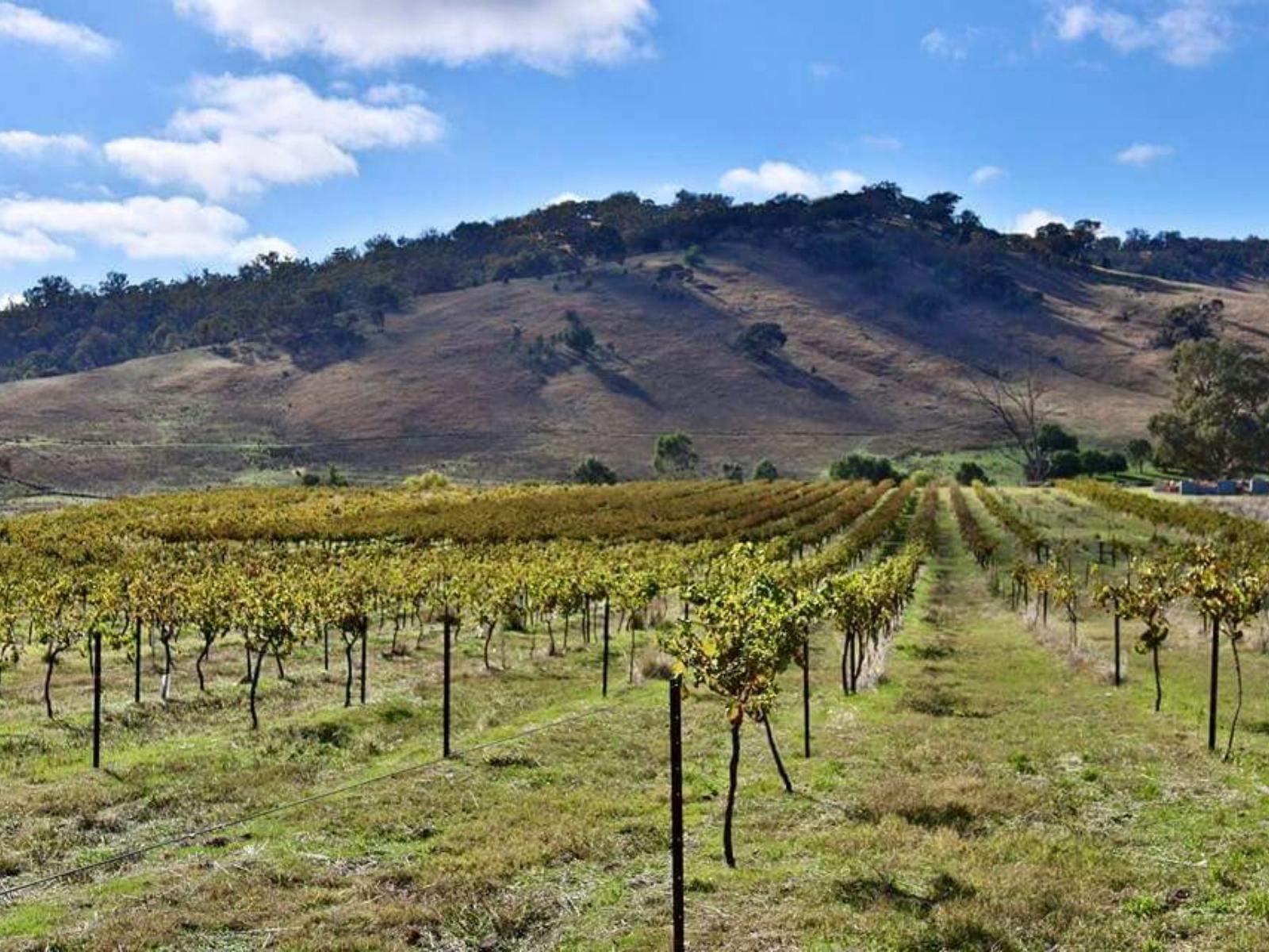 Aa9235682Ef4E77Ae948F99Bdcff55D9