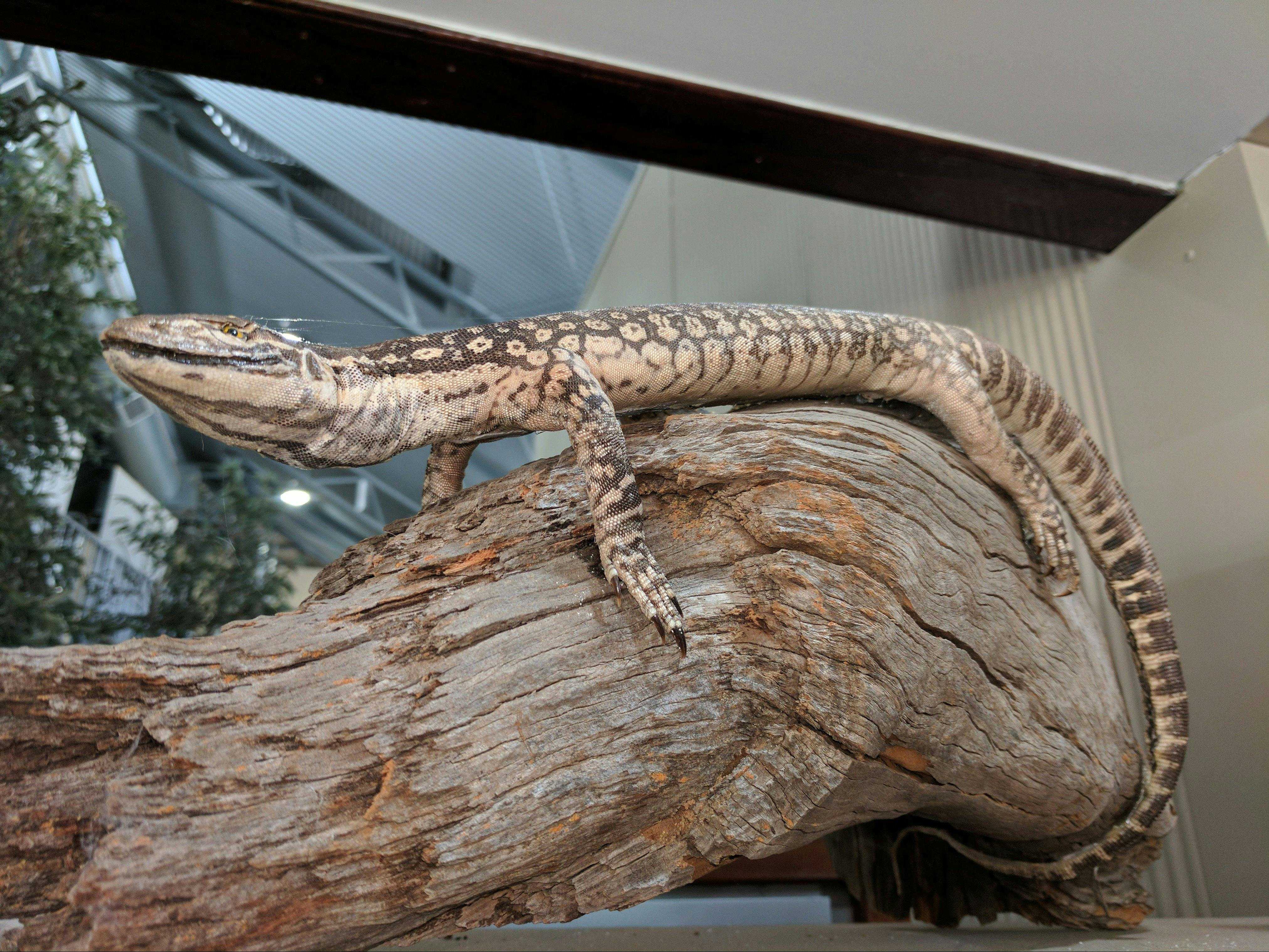 614Bea080Af77Aa48170700F09D6A9Aa