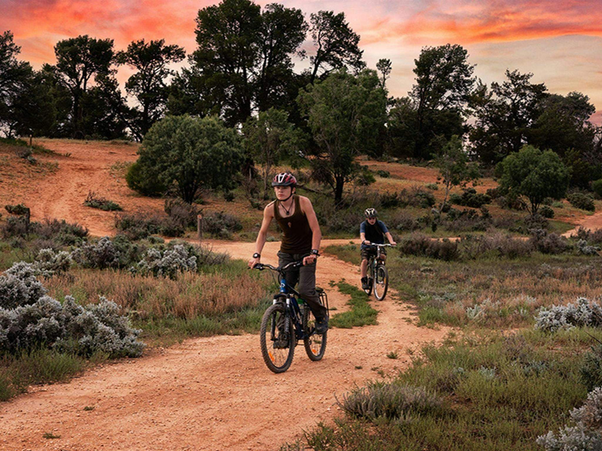 Mungo-Mountain-Bike_M4S1P1L