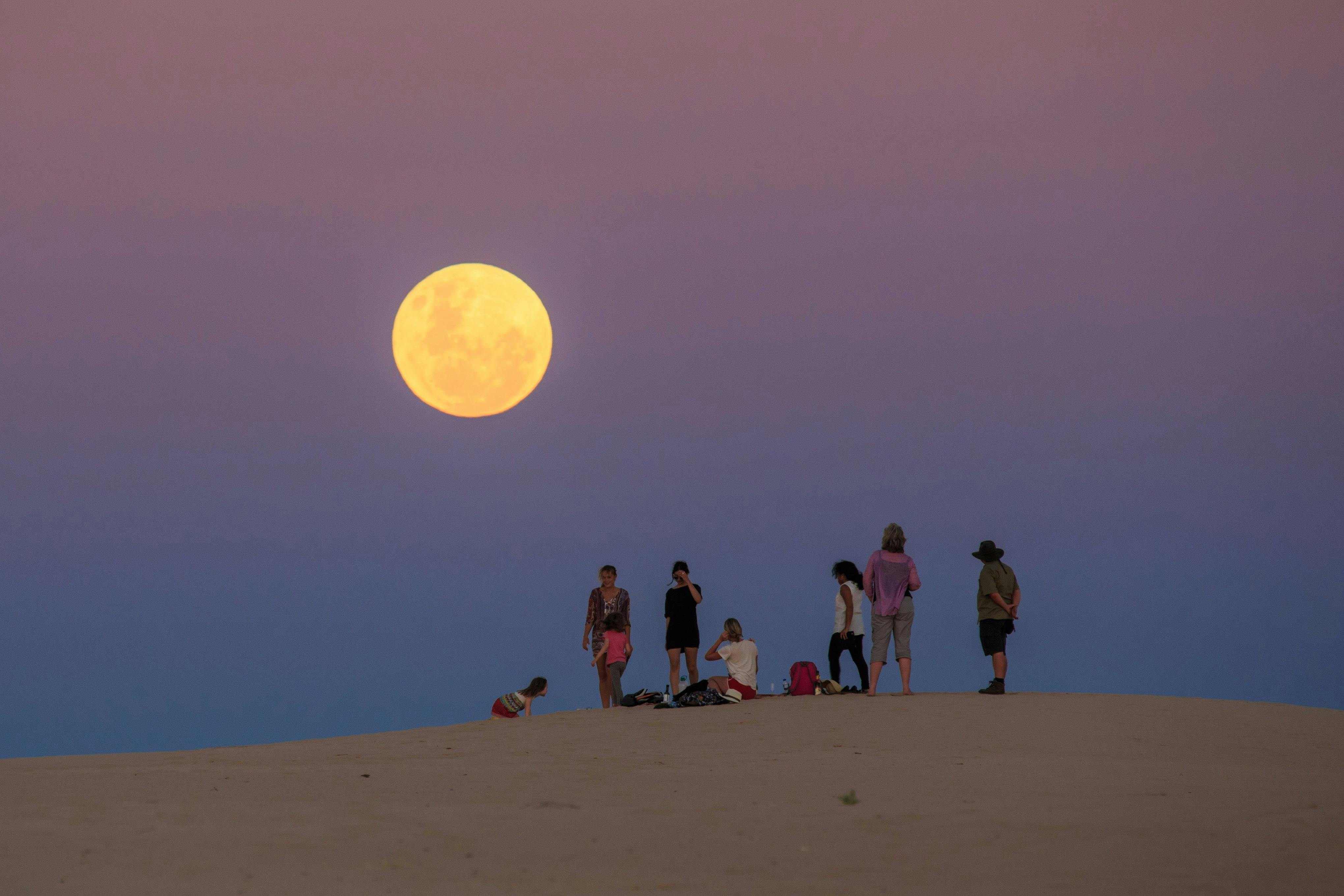 Cc76A905D8E197D9F655Cd6B841430Ef