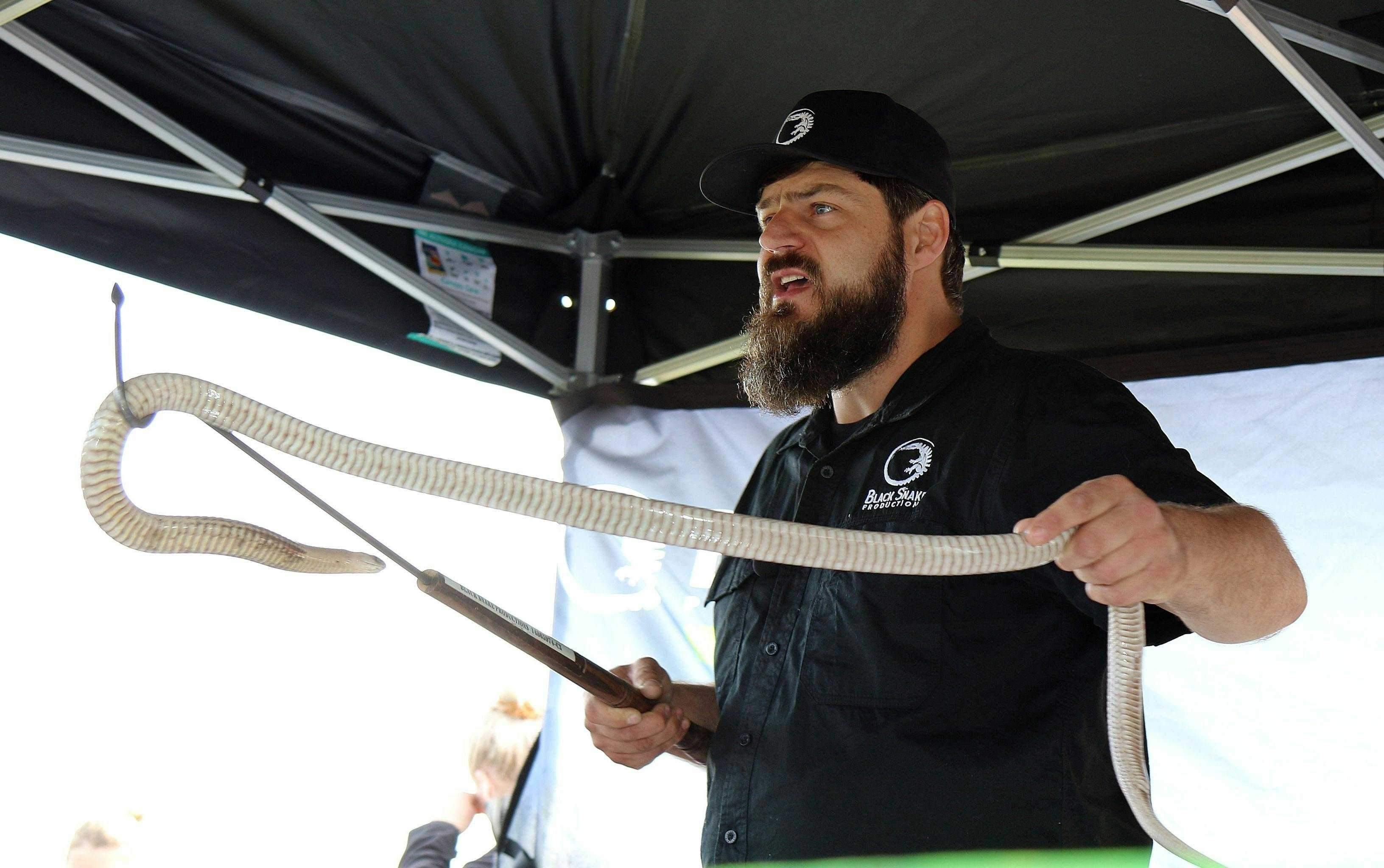 D51803Ca1062C57B732F1Ff44672D164