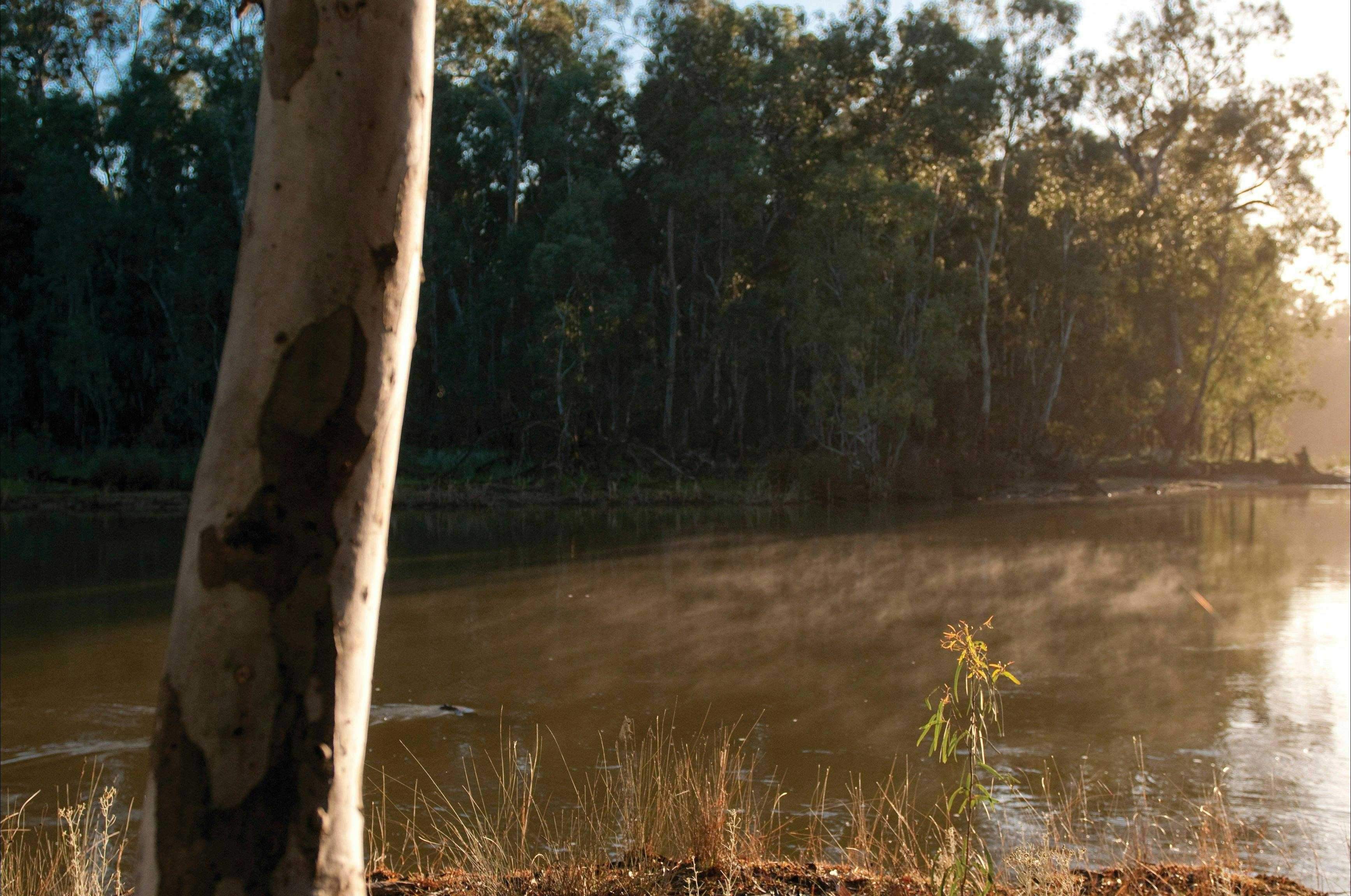 B38E904D3C7108Cf6A96C20133F53299