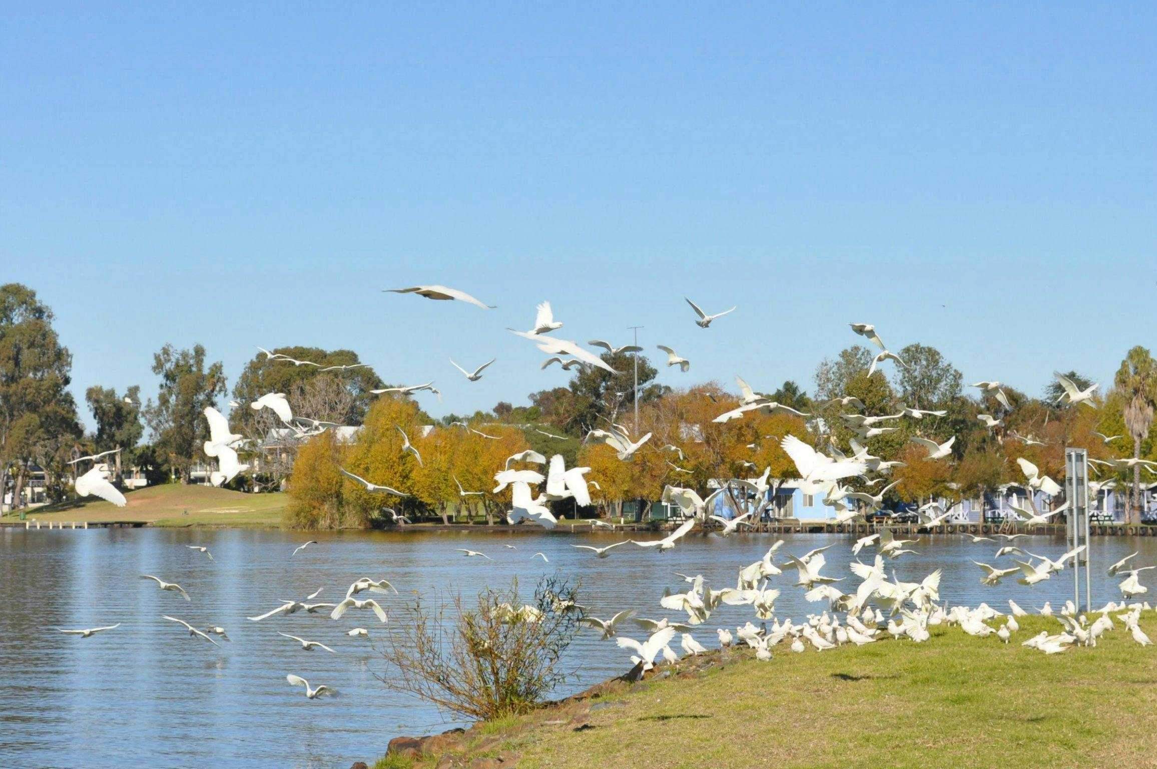 92Ba401Ece515B4Bc461Cd988Cc8D1Df