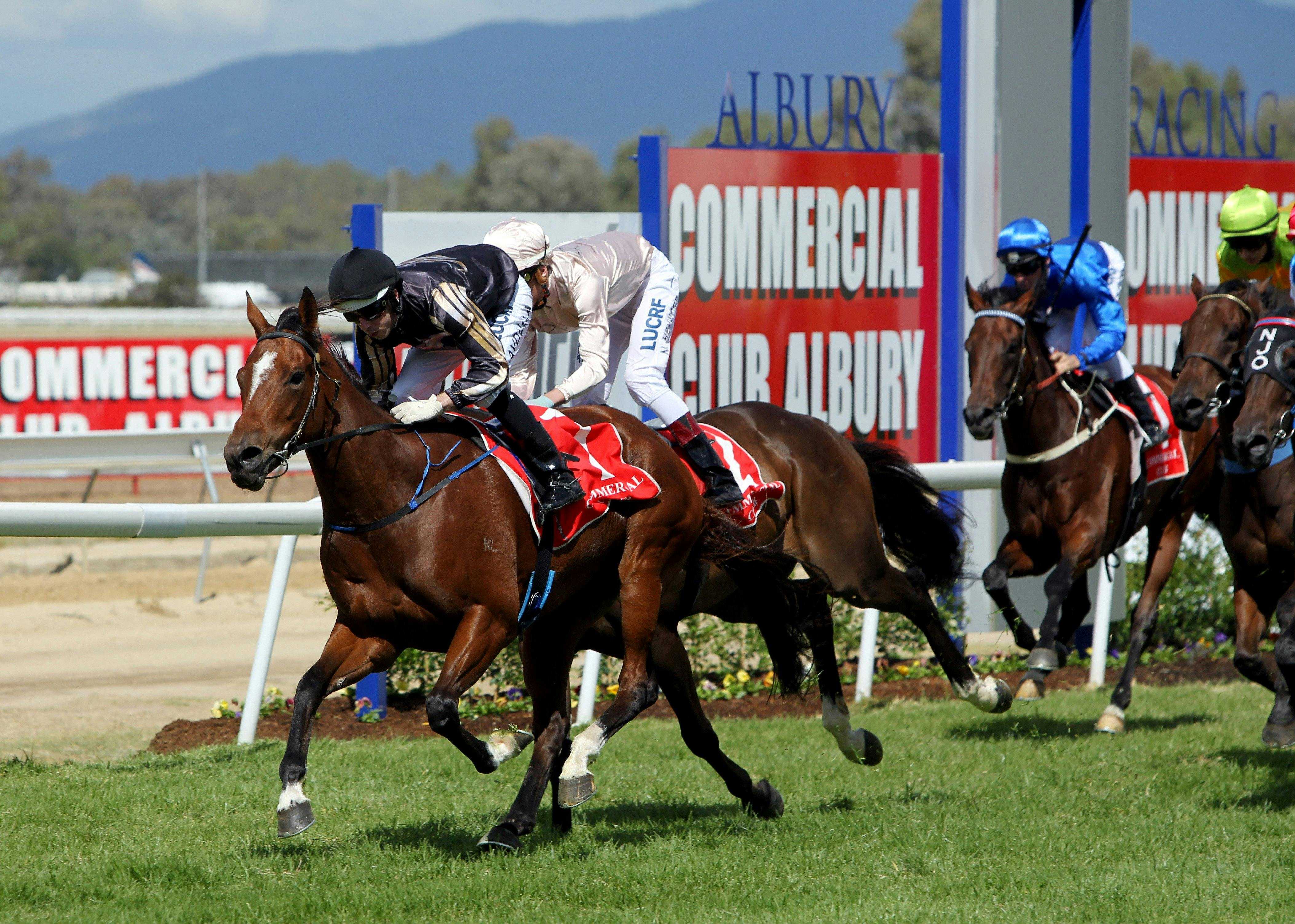 604Ad2C01A3B26De6C8Cf042Cc886019