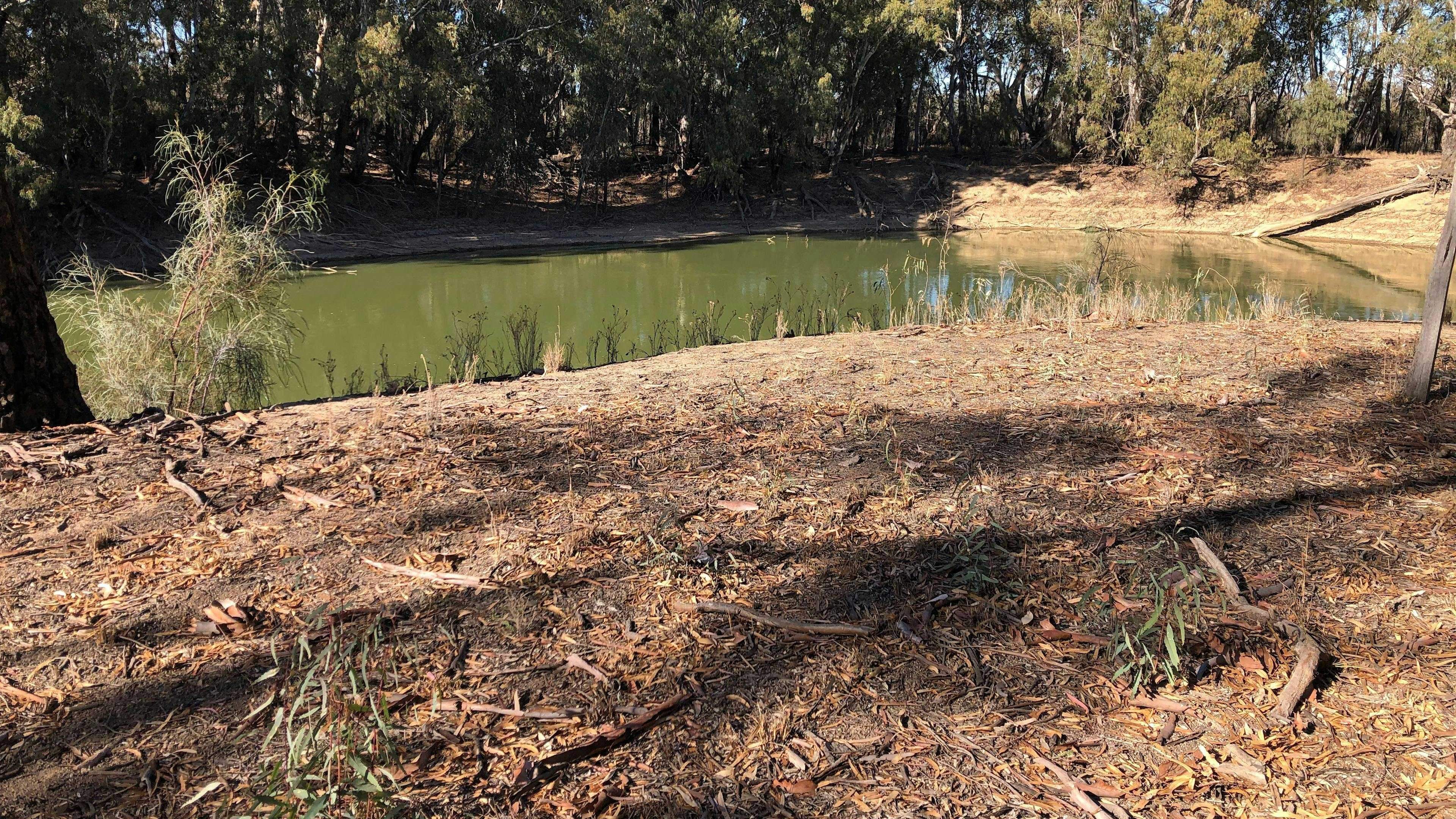 Murraywood-Murraywood-On-The-Murray-The-Mallee_Bixbtvx