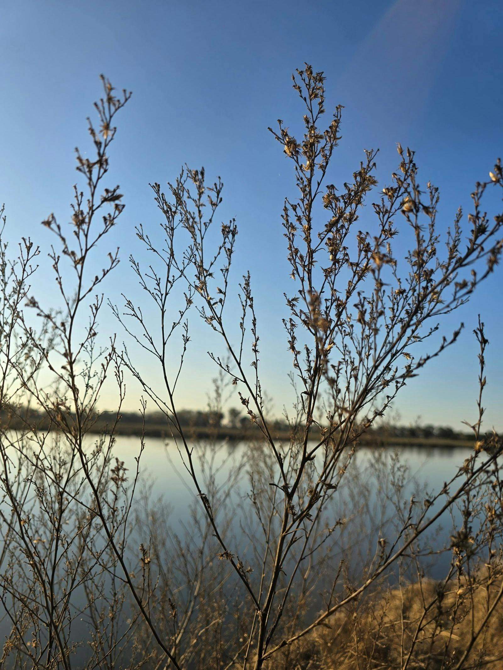 Ab5E8D9C0Eebdff4348Ed96B553Fadda