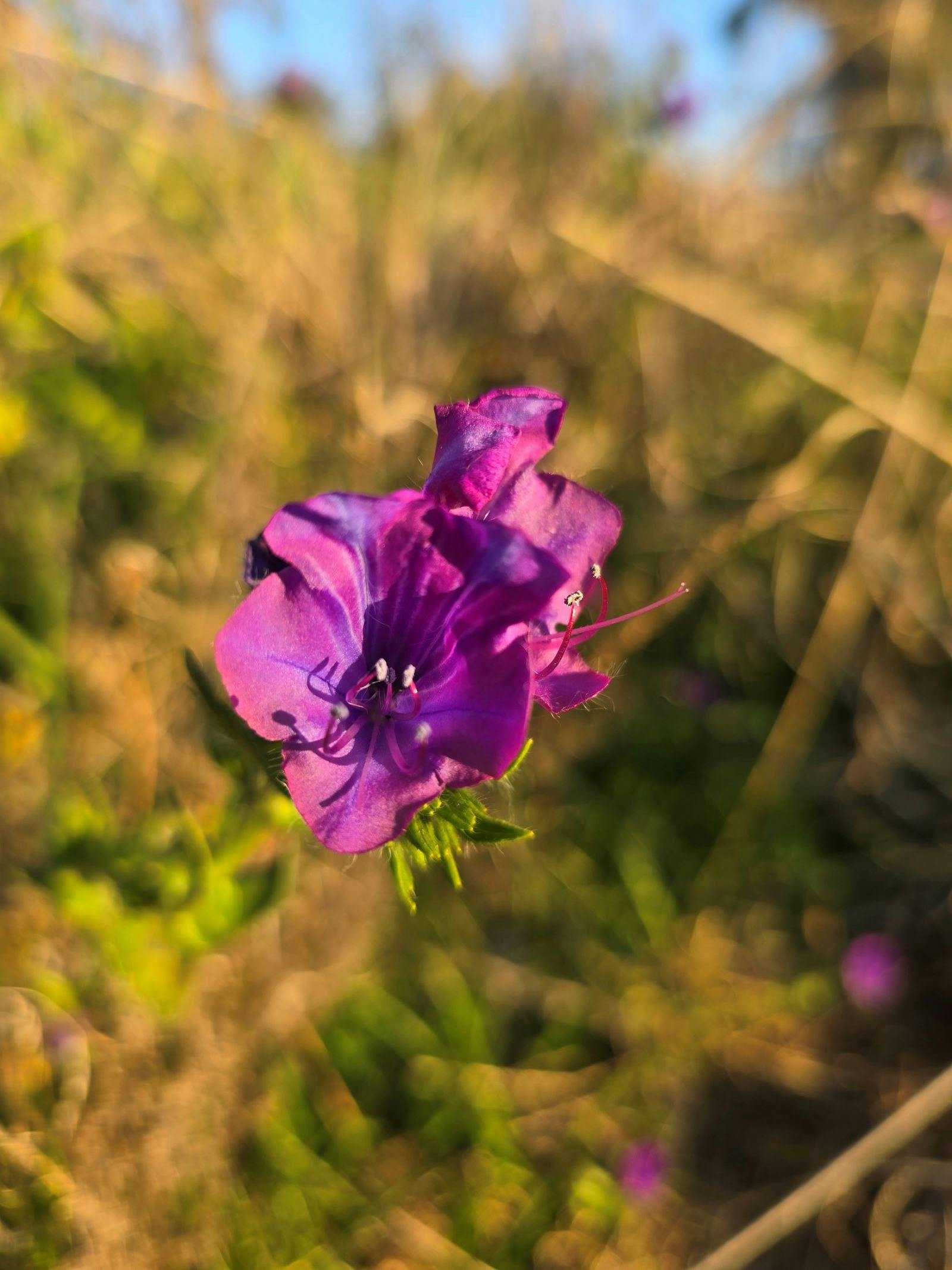 E89424Fcf75C737D4F60193610865310