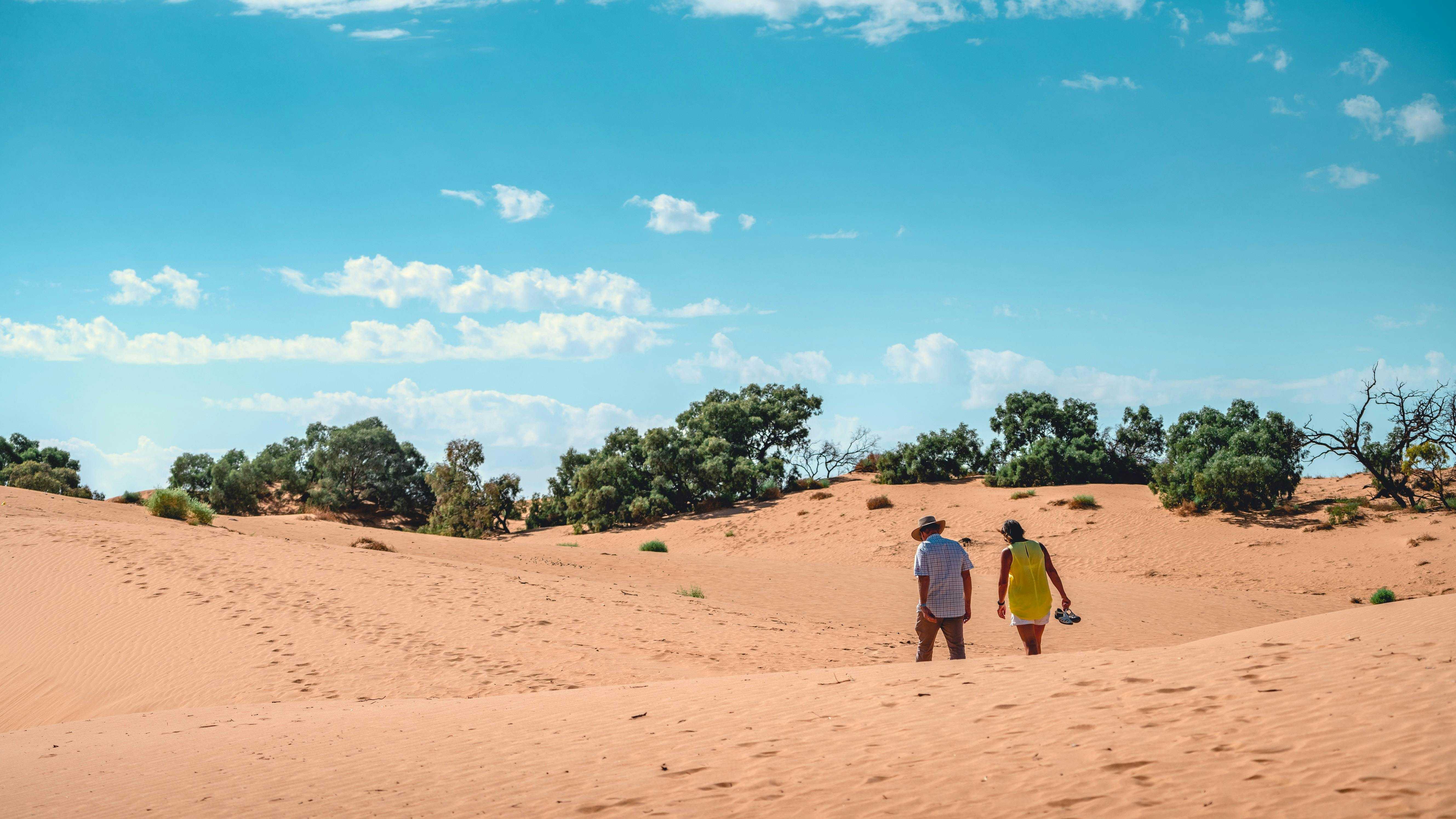 0C58941122697495565B428D1917Db8F