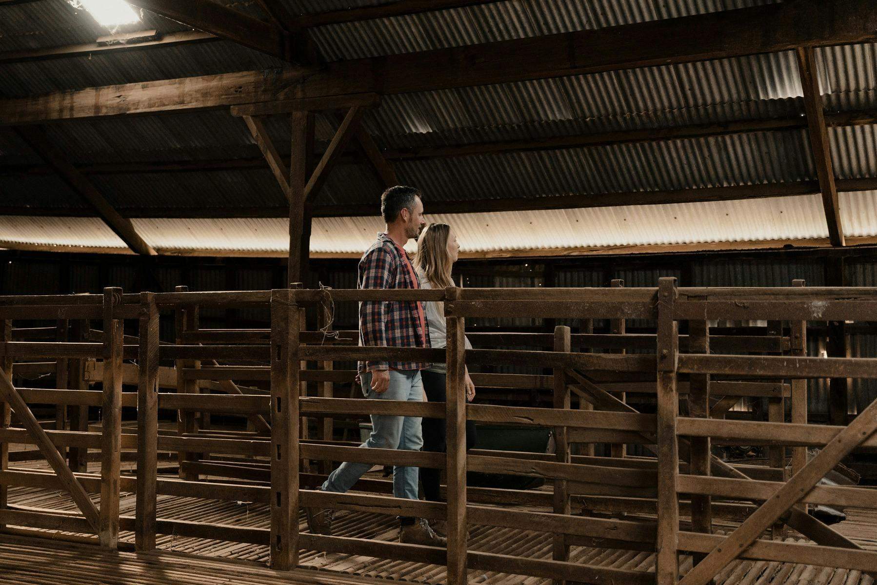 41F3Dd1369D1480B78Cf5149345E0341