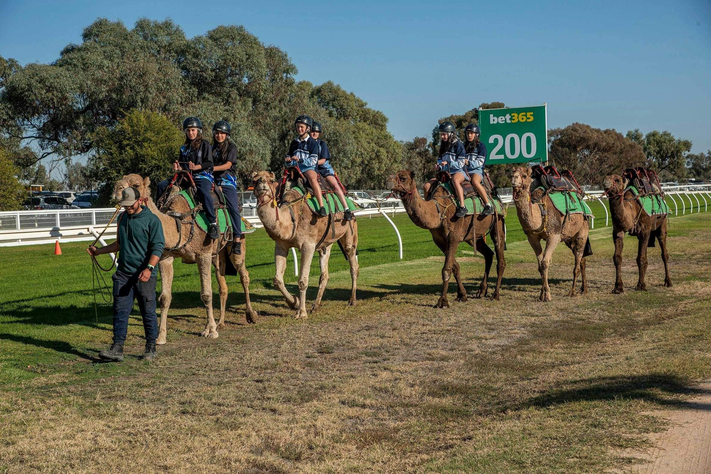 D6D9599D8E9046D09Ba74D759F12361B