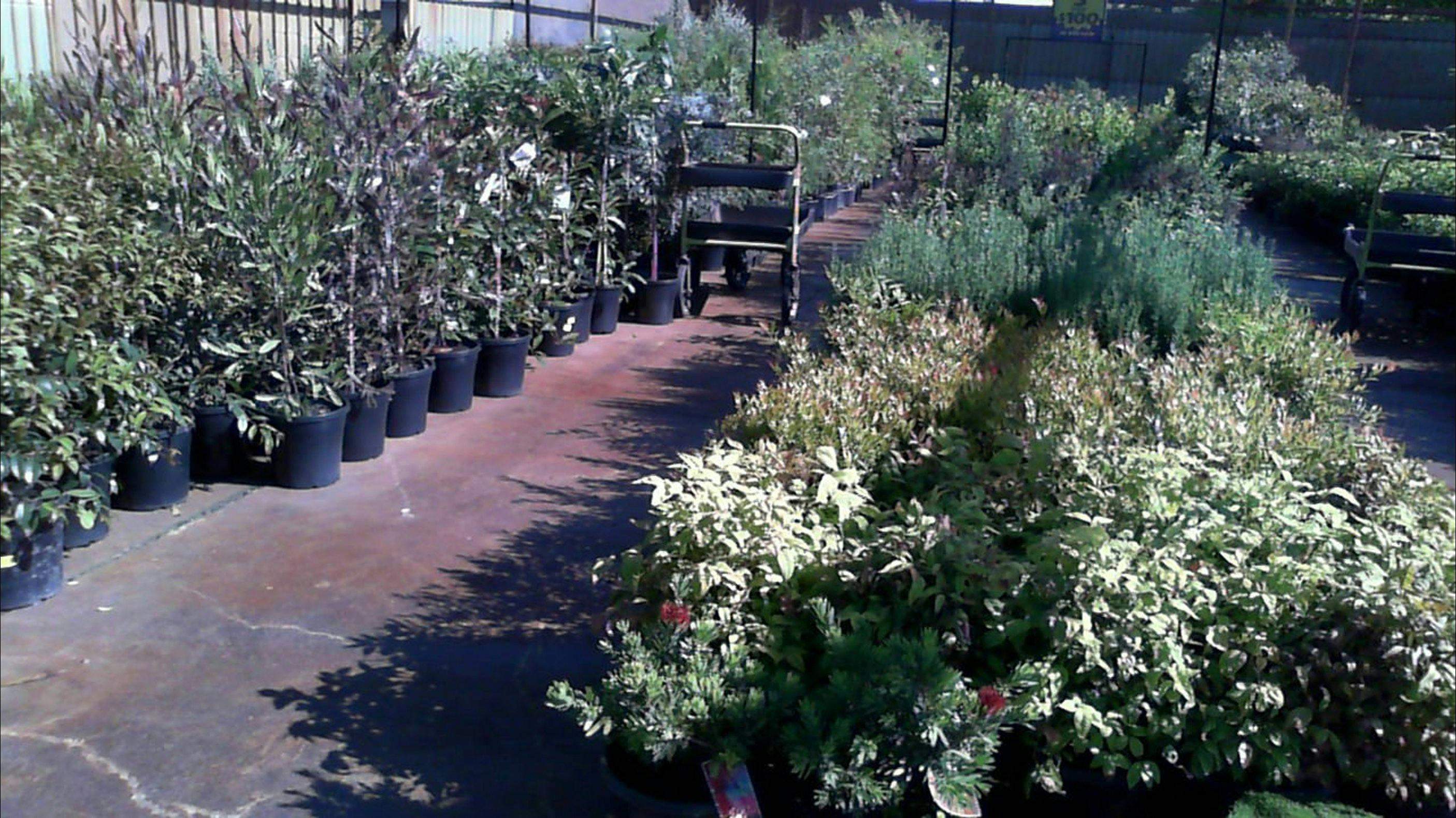 A859Dc22B8Ef6972Ec8191B9D7Ebb00A