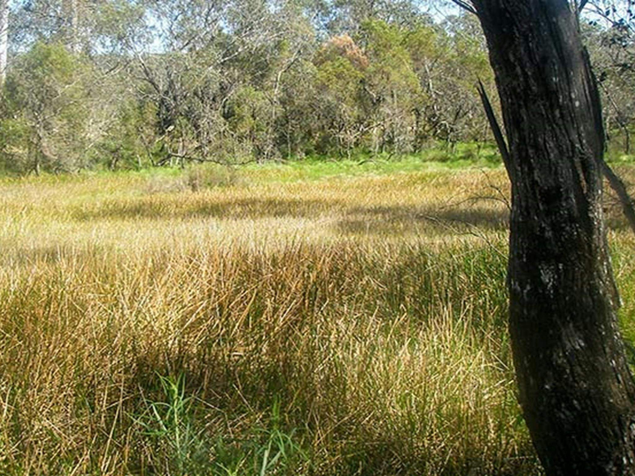 Woomargama-01_Xehe7Wr