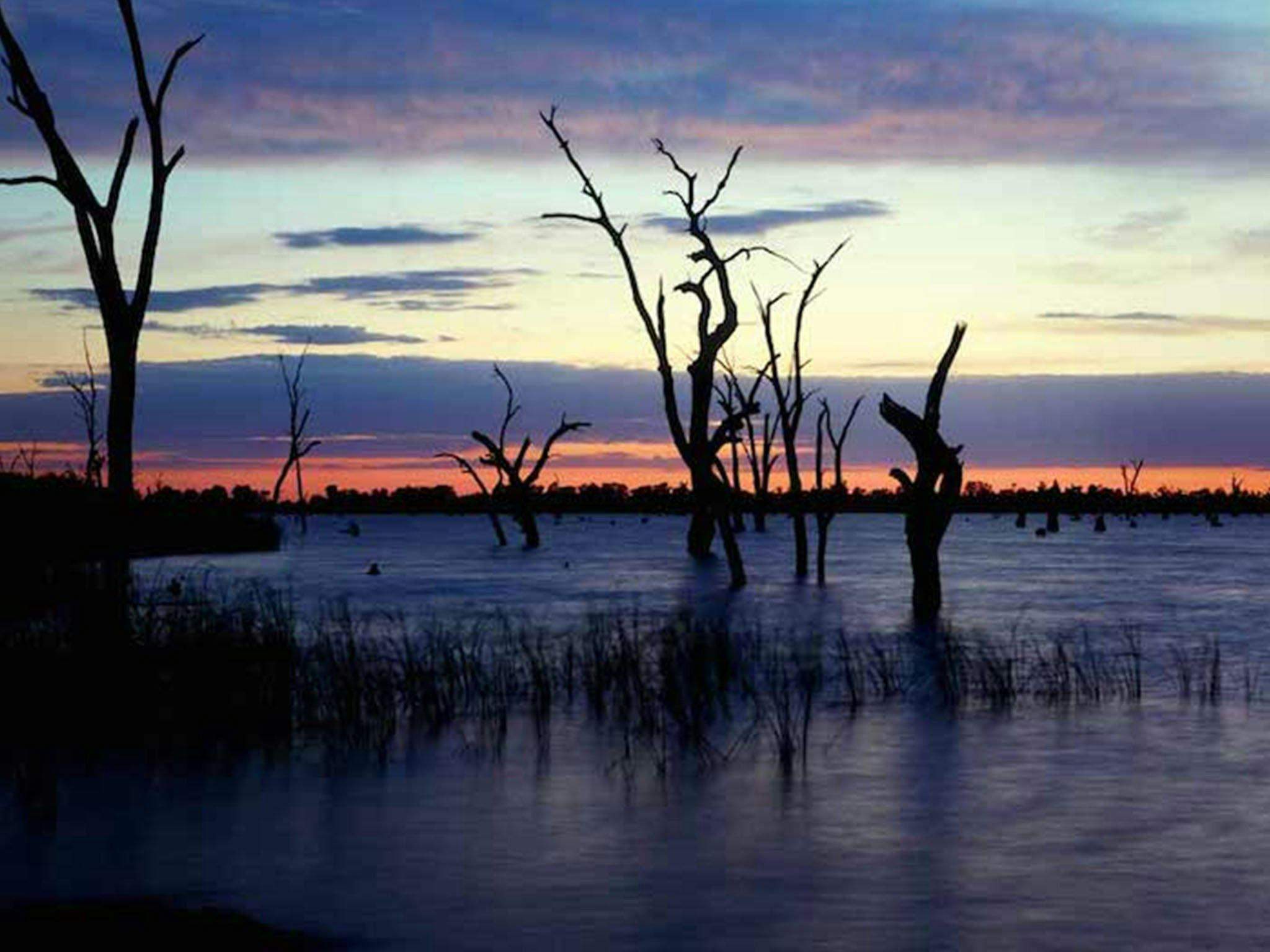 3D42E9054B955572Bf24584873F8Ac52