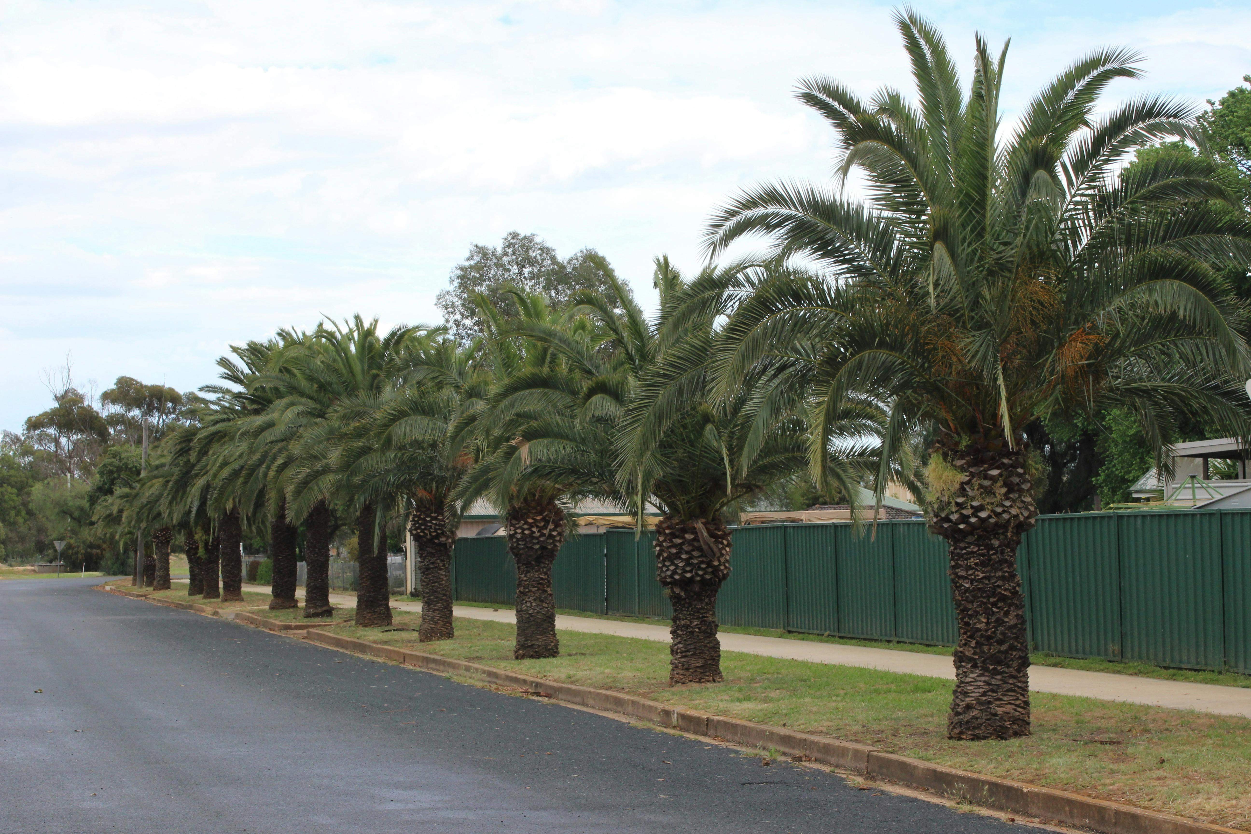 B9Cac62B4A74E097972Ed8Afc63E6Dec