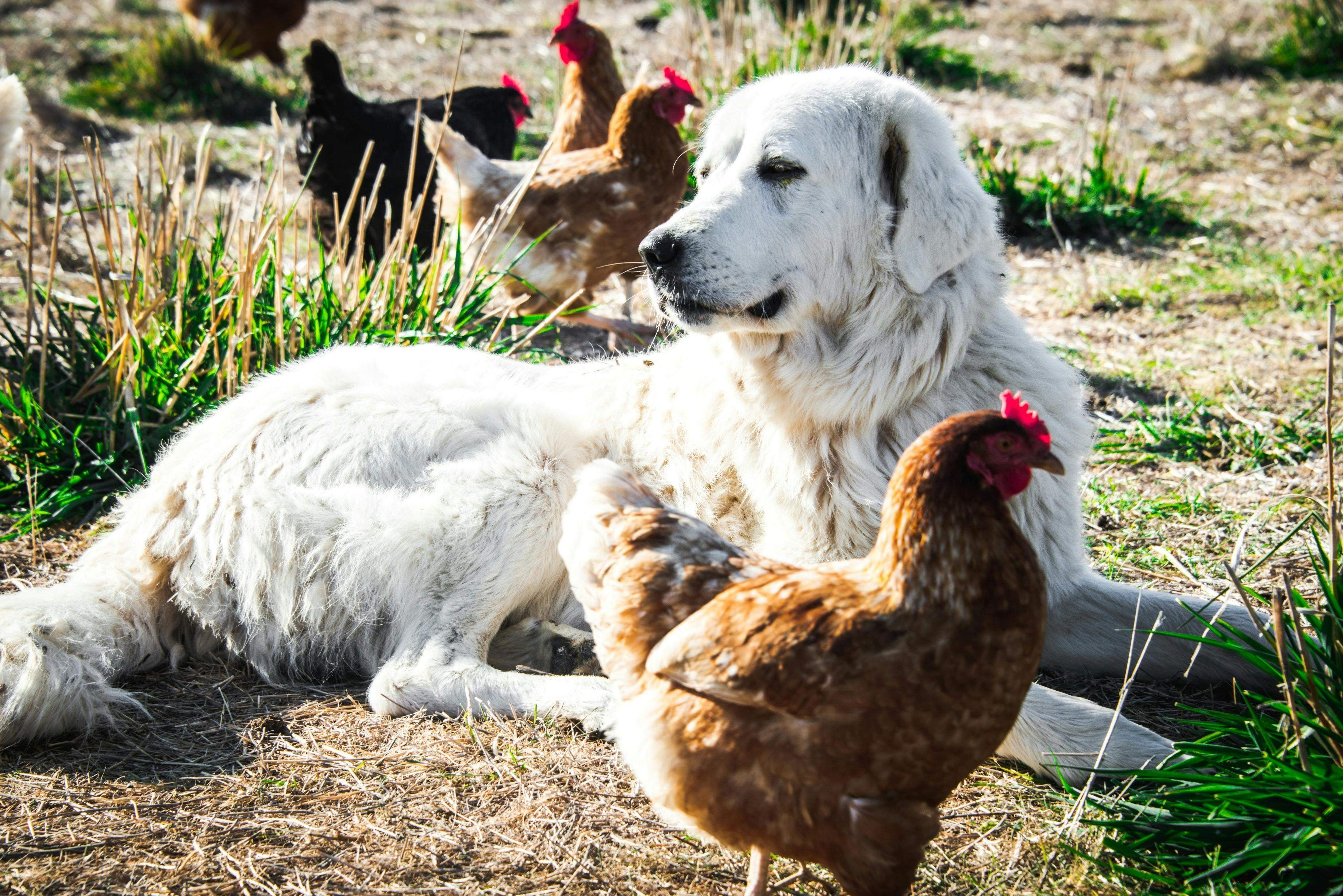 17267F9Efae53A7Dcd09266B11Bb9197