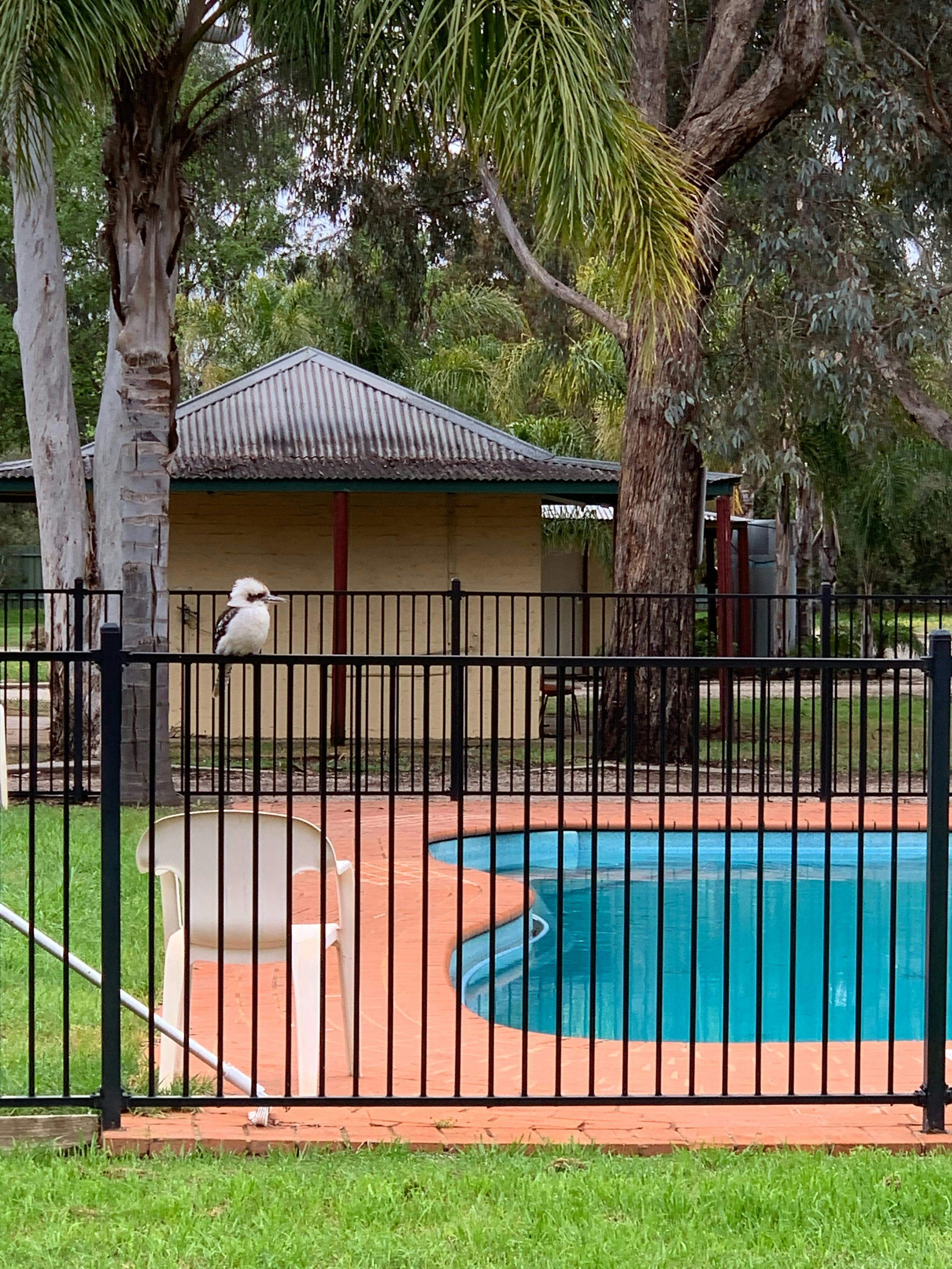 06Ca0F6B0C6631E17A20920Cc34D6A4E