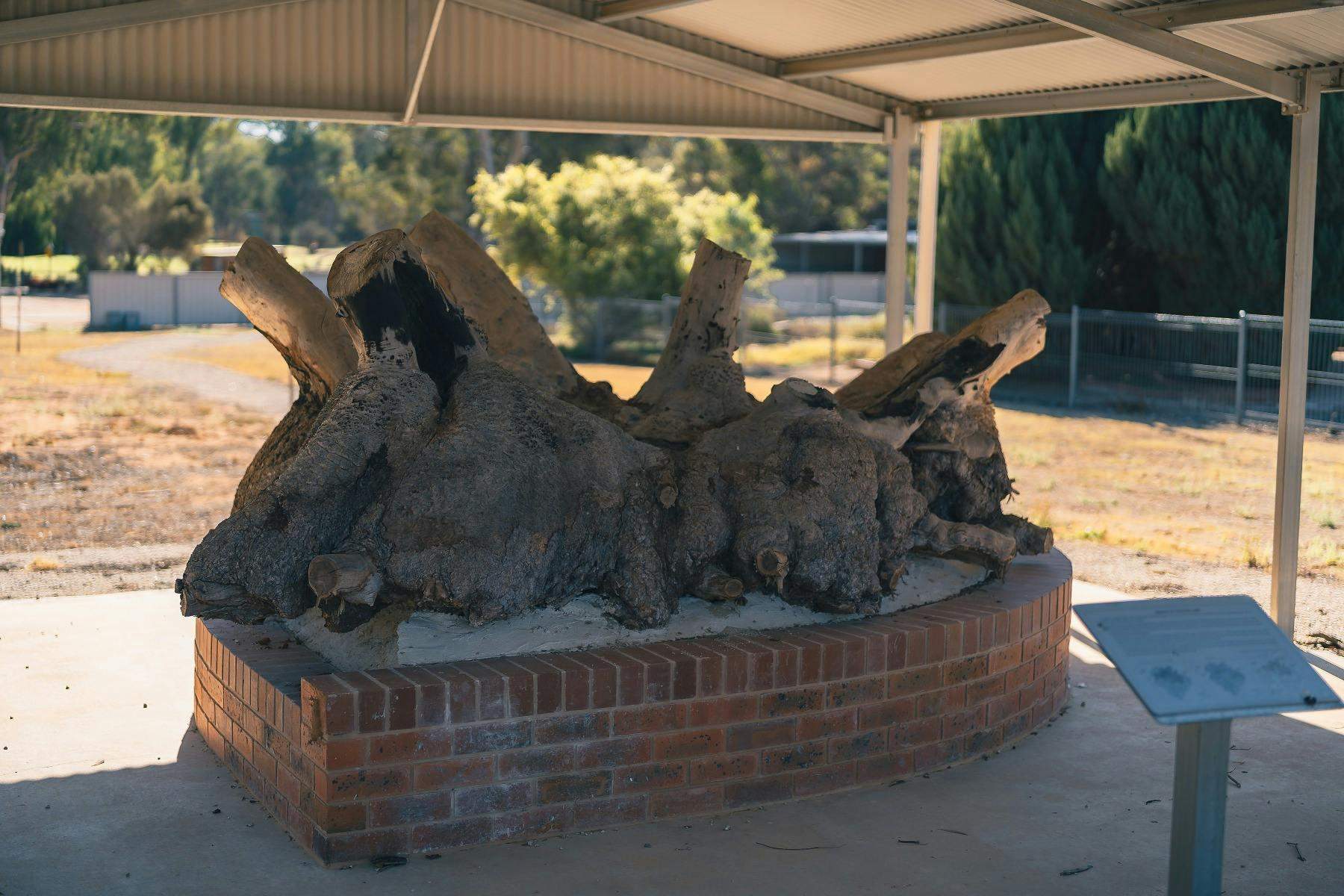 F8C5Dedd7A987017609250E3Ad55Ffd8