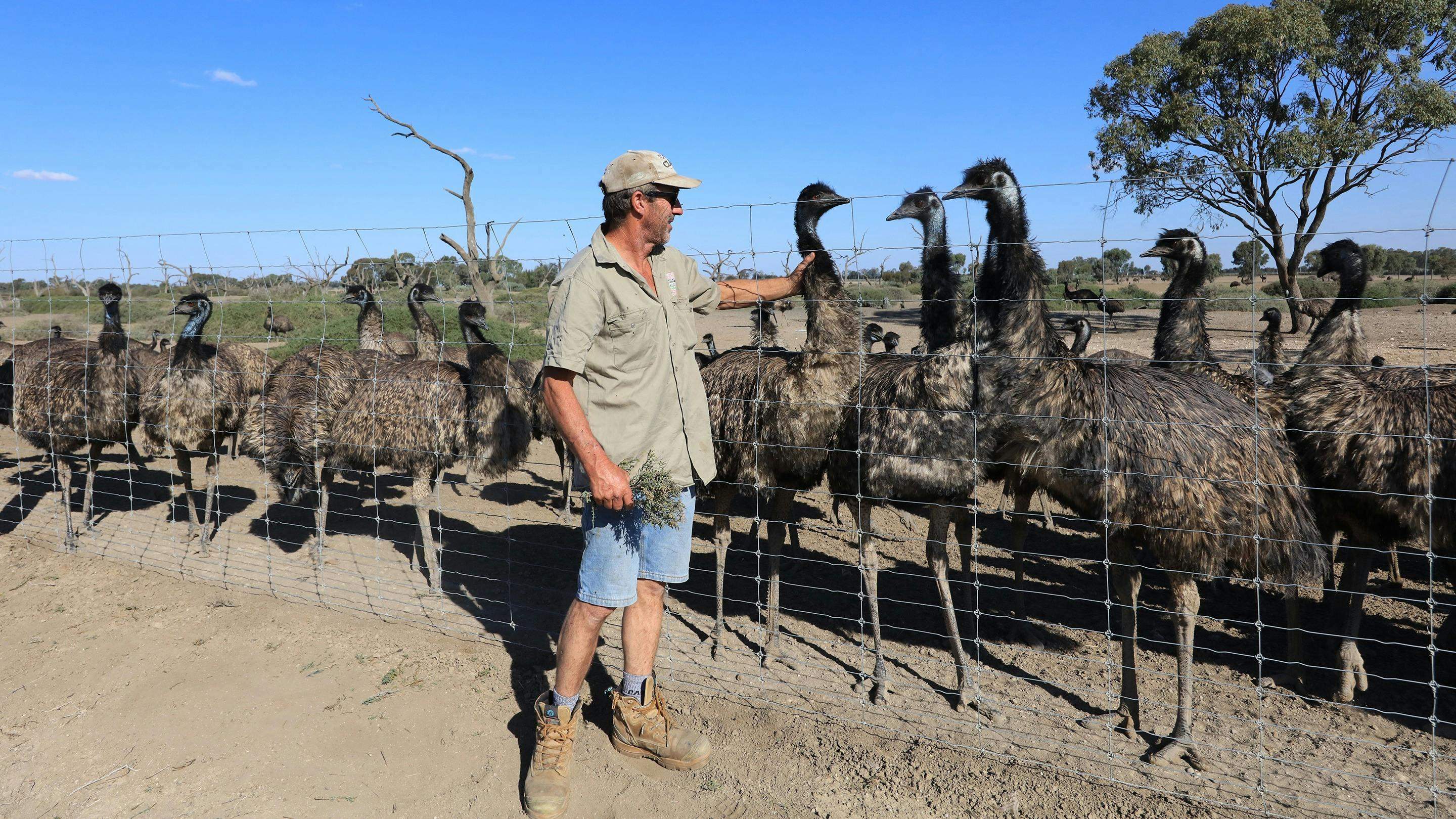 4C4C1B9093D417D737807Ddaa0E1679F