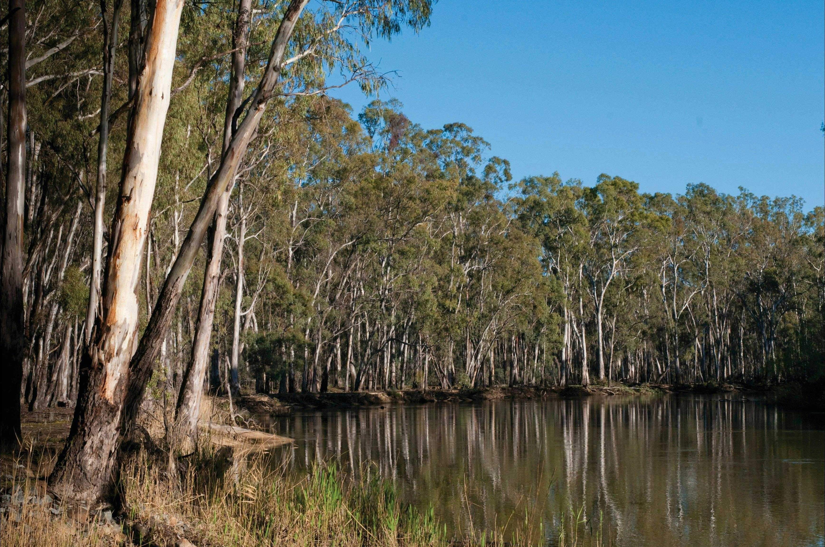 Ad282D73927Fa3Acbff103C6A0Eb86C8