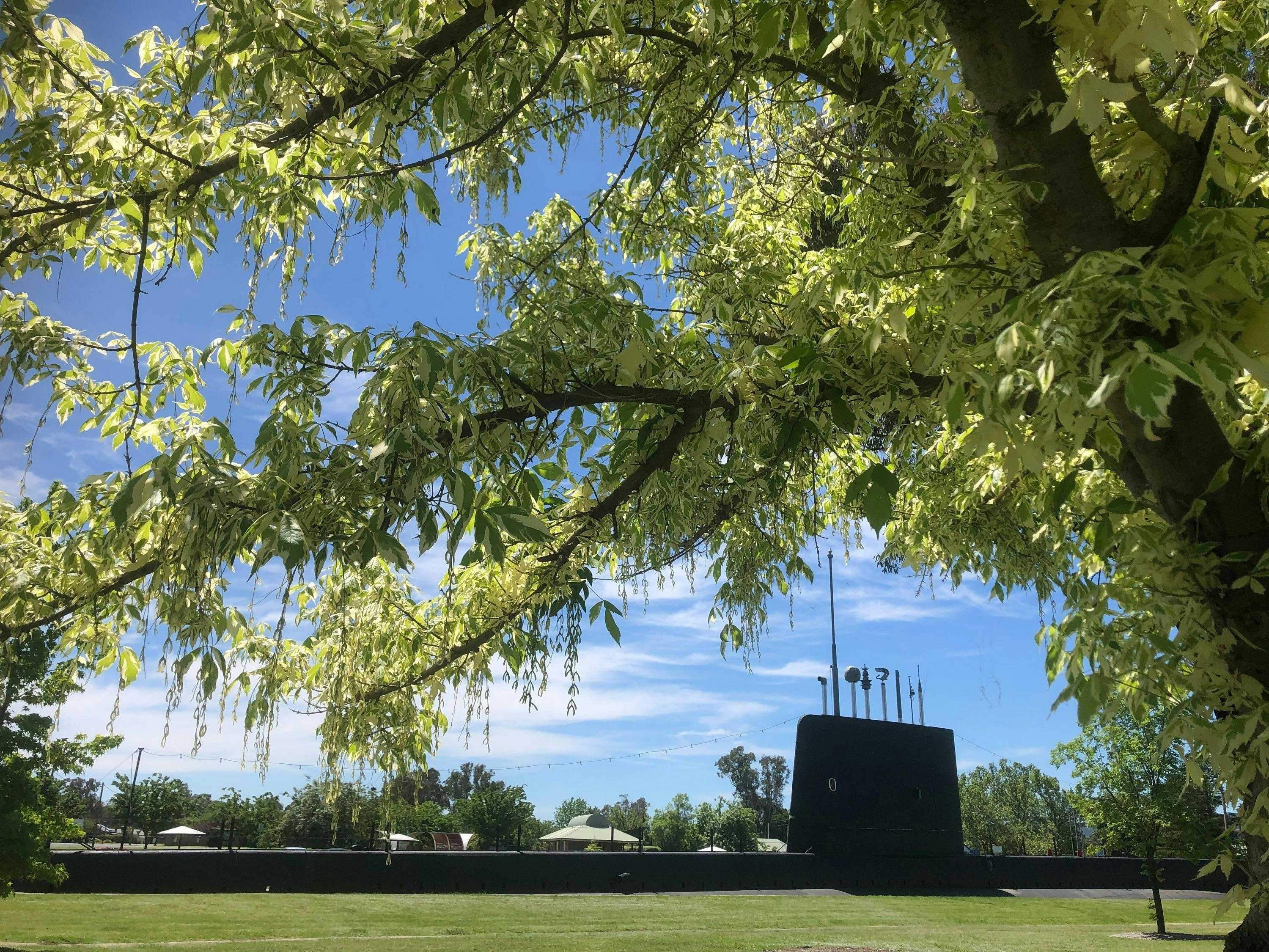 4401C3F880Ed976A6039C141B226D61C