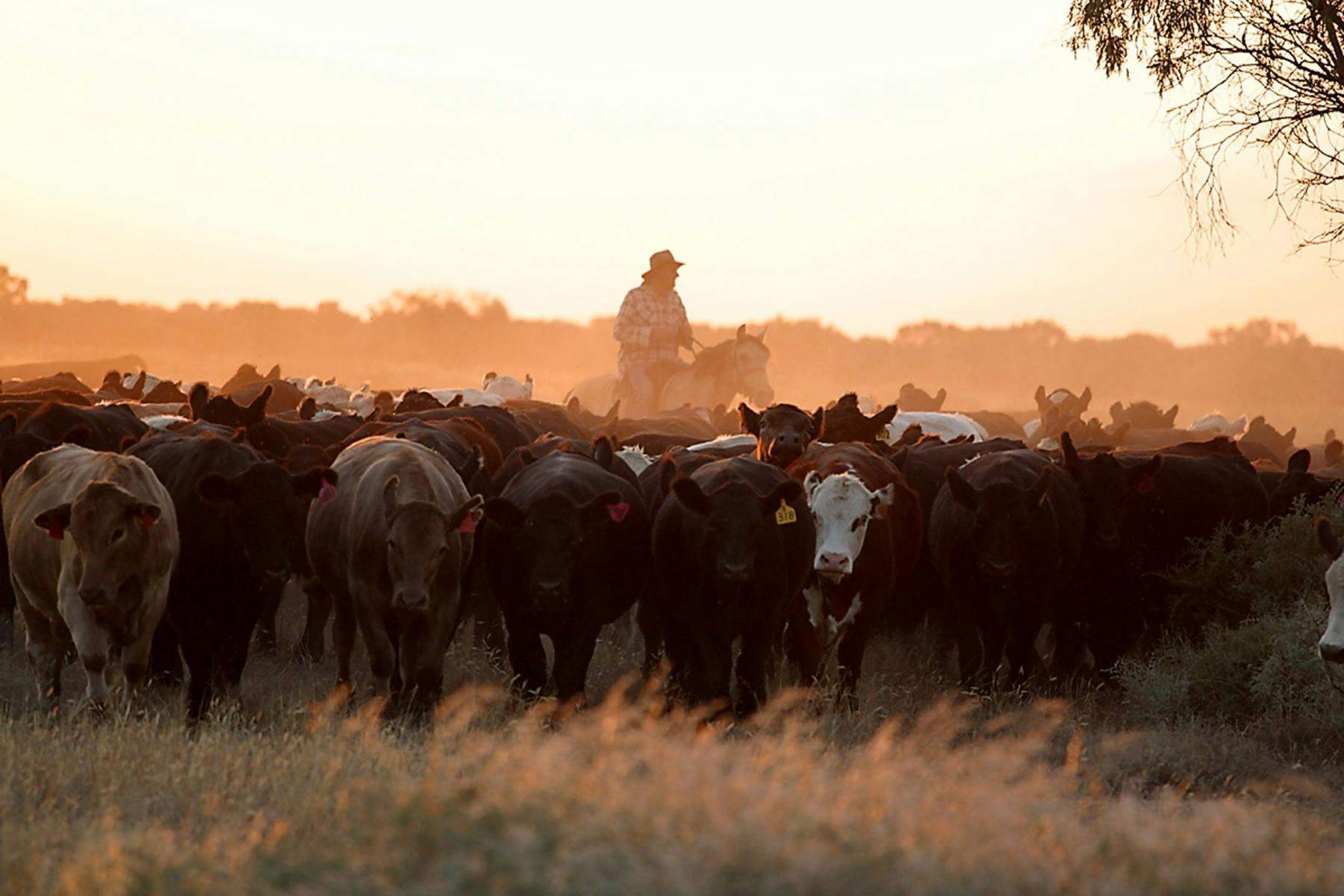 E5Da0Dc33Ff757Ddcda6B68B00Bd5681