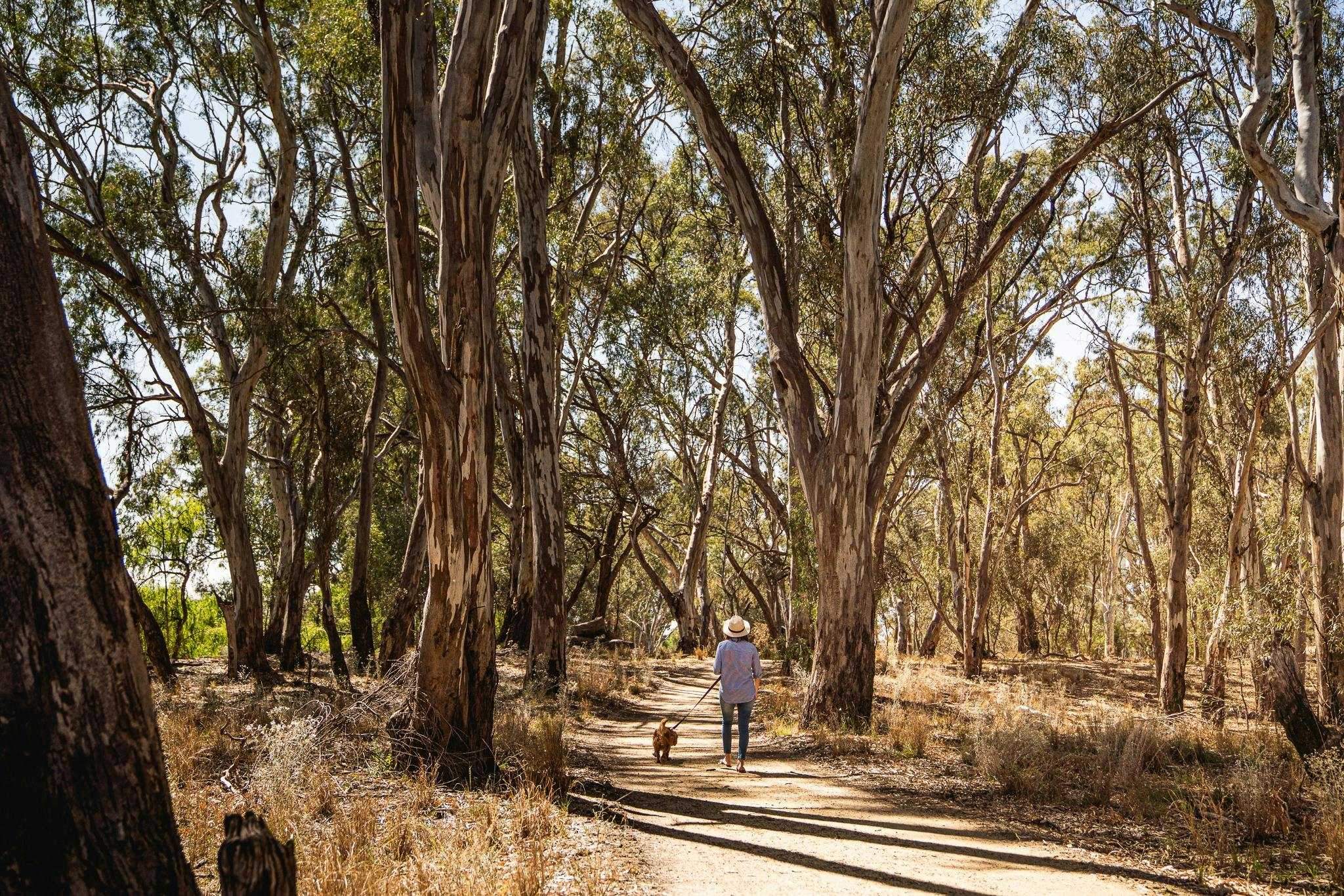 A14D83D7700E2D7Bb7C917Caf716054C