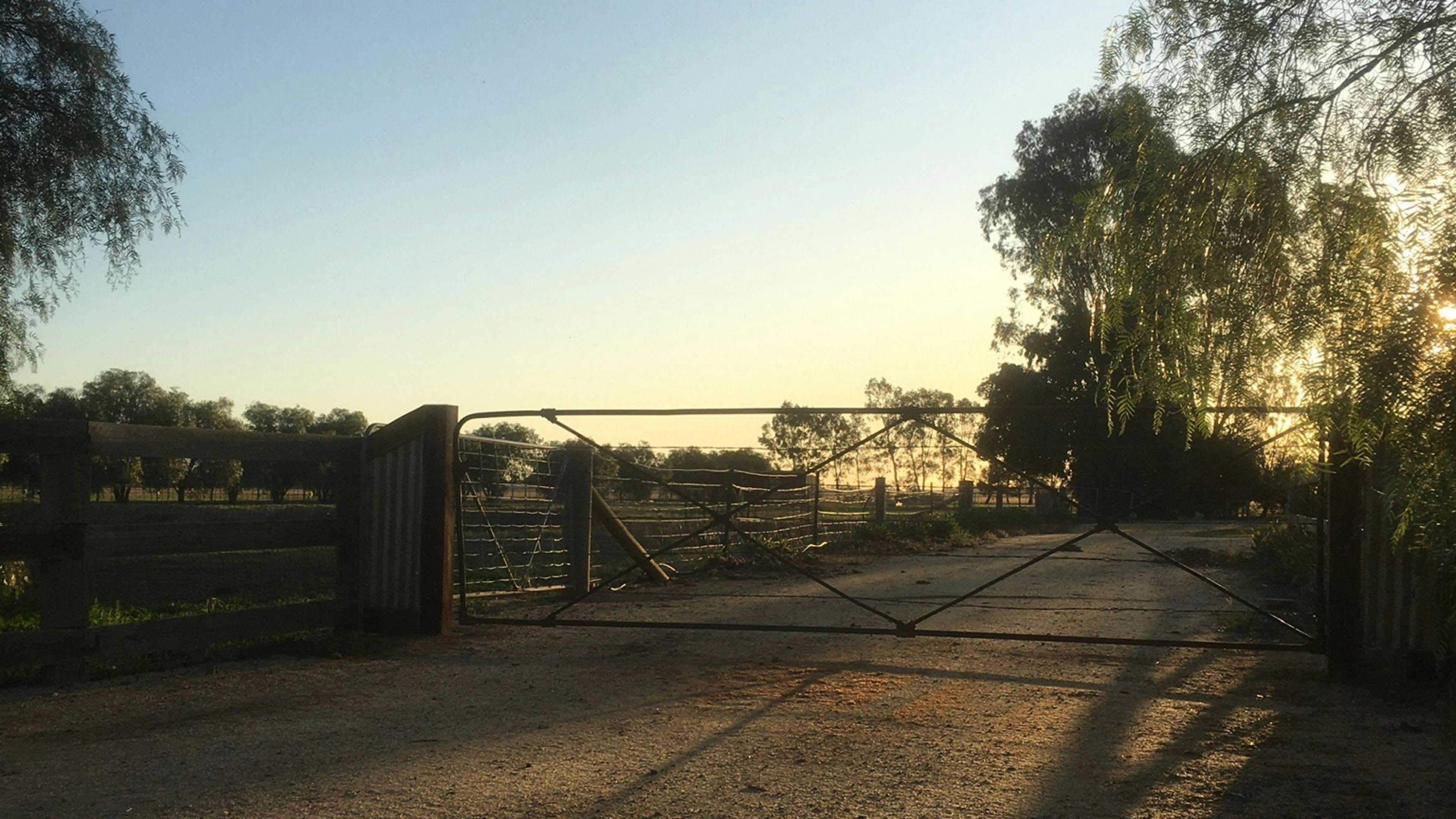 Jandar-Farm-Jandar-Farm-Stays-With-Horses-Riverina_Ka4Vos3