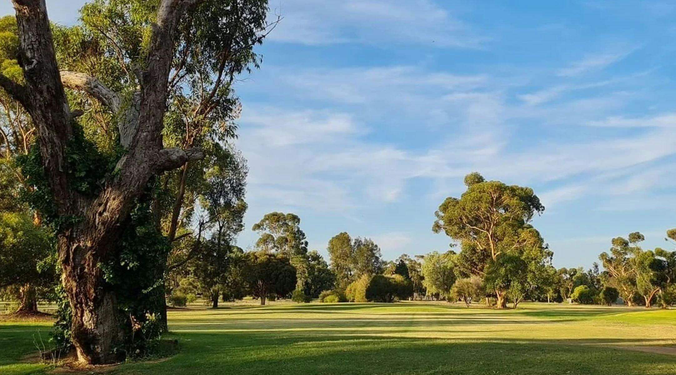 Da8Ddd883Dc5391Df89C917853D75Ff7