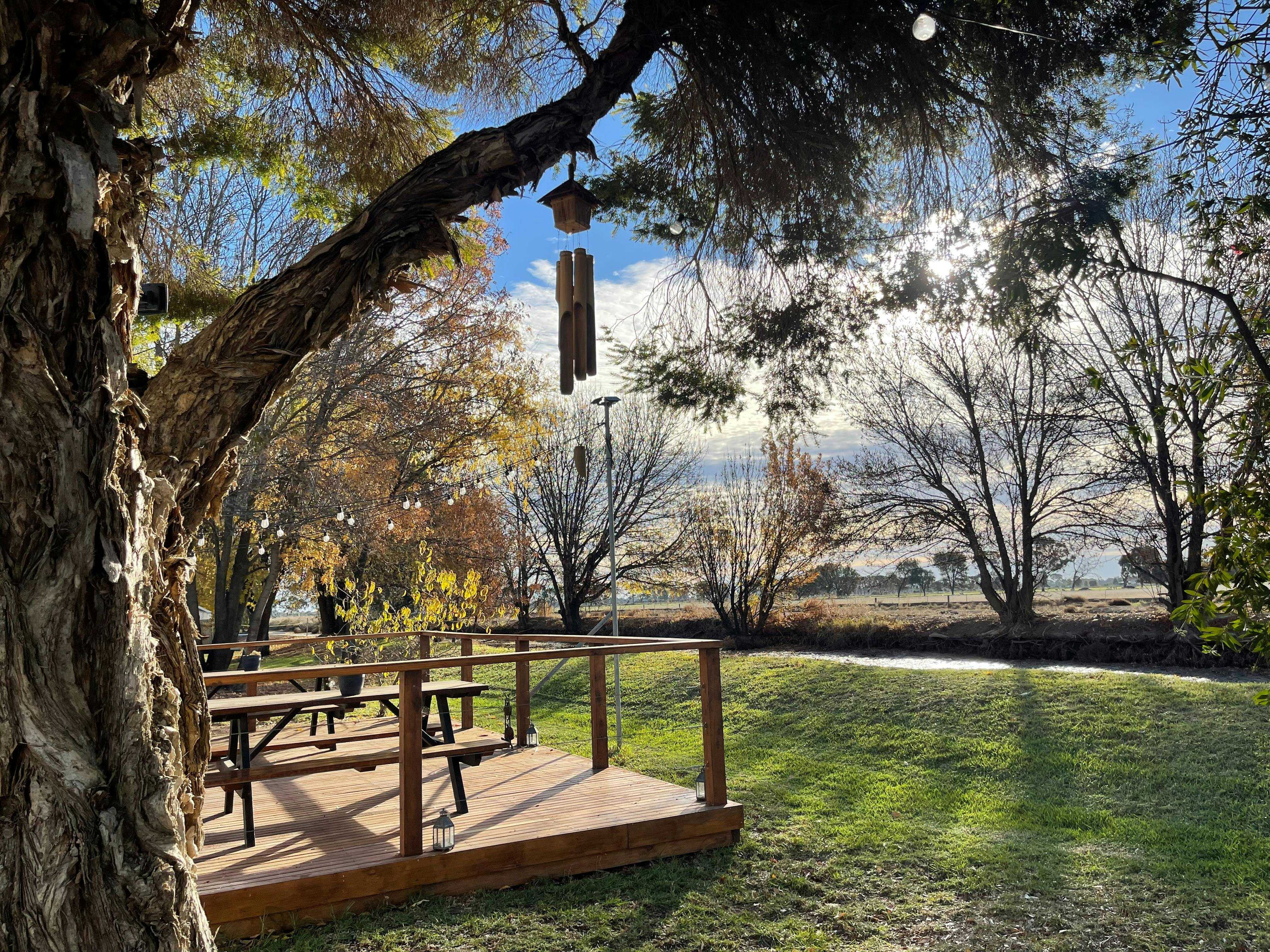 D6D940F9F3949F9860D14Fcd5Ce9Bd25