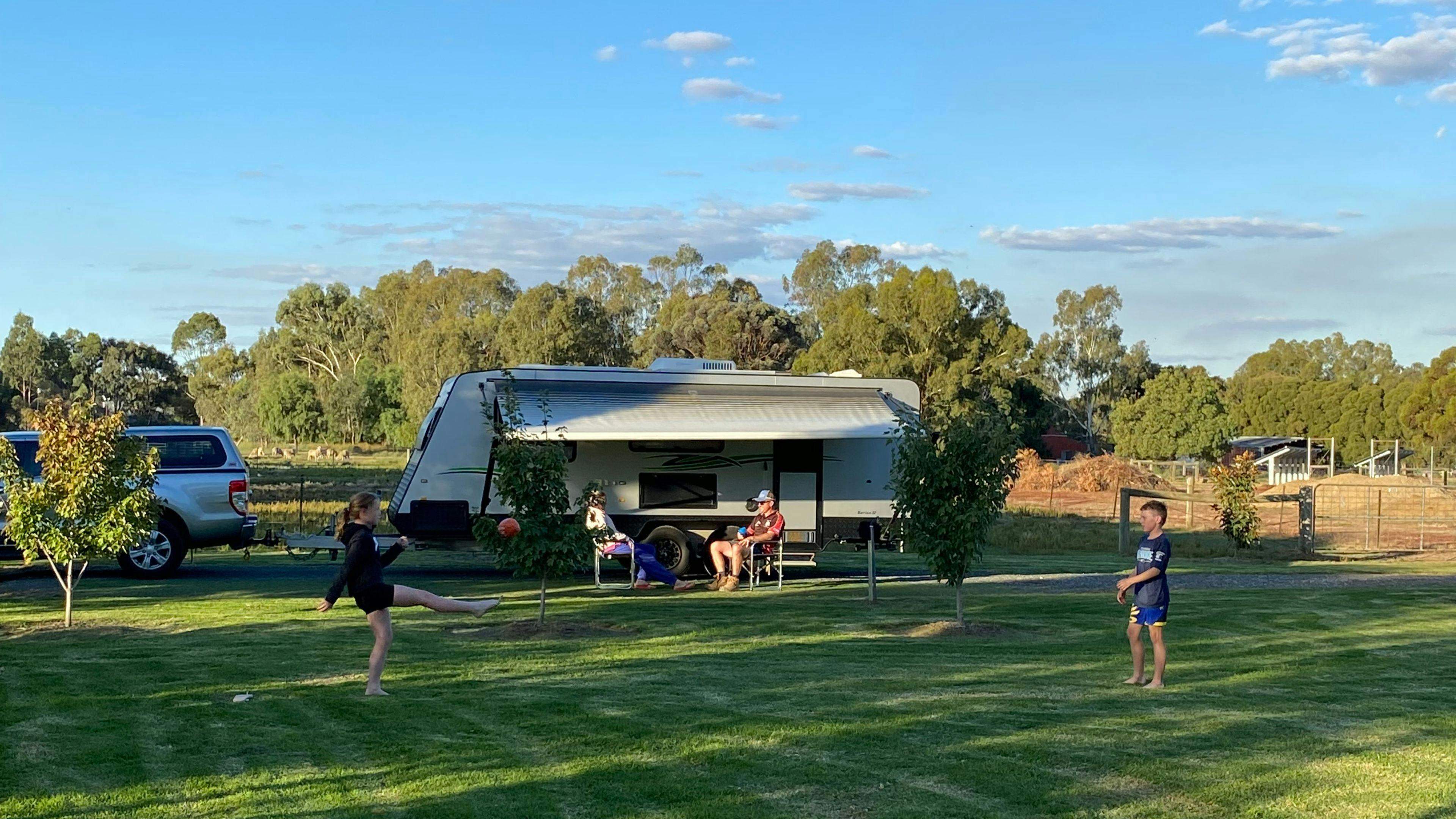 Denitom-Acres-Maple-Riverina_Jm4Kuhy