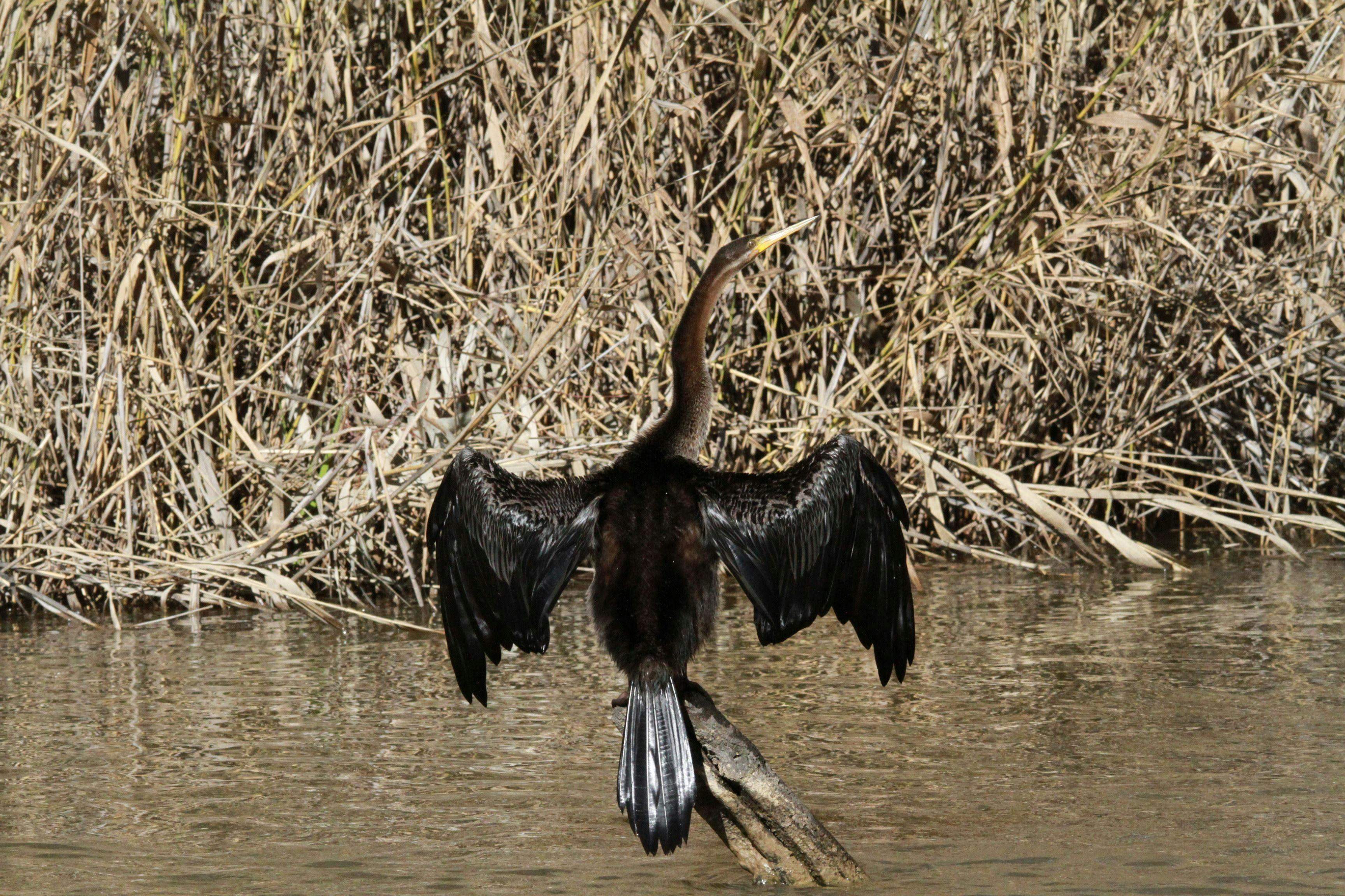 Original__9728645_Hj57_Img_5260_Ll4Q9Mo