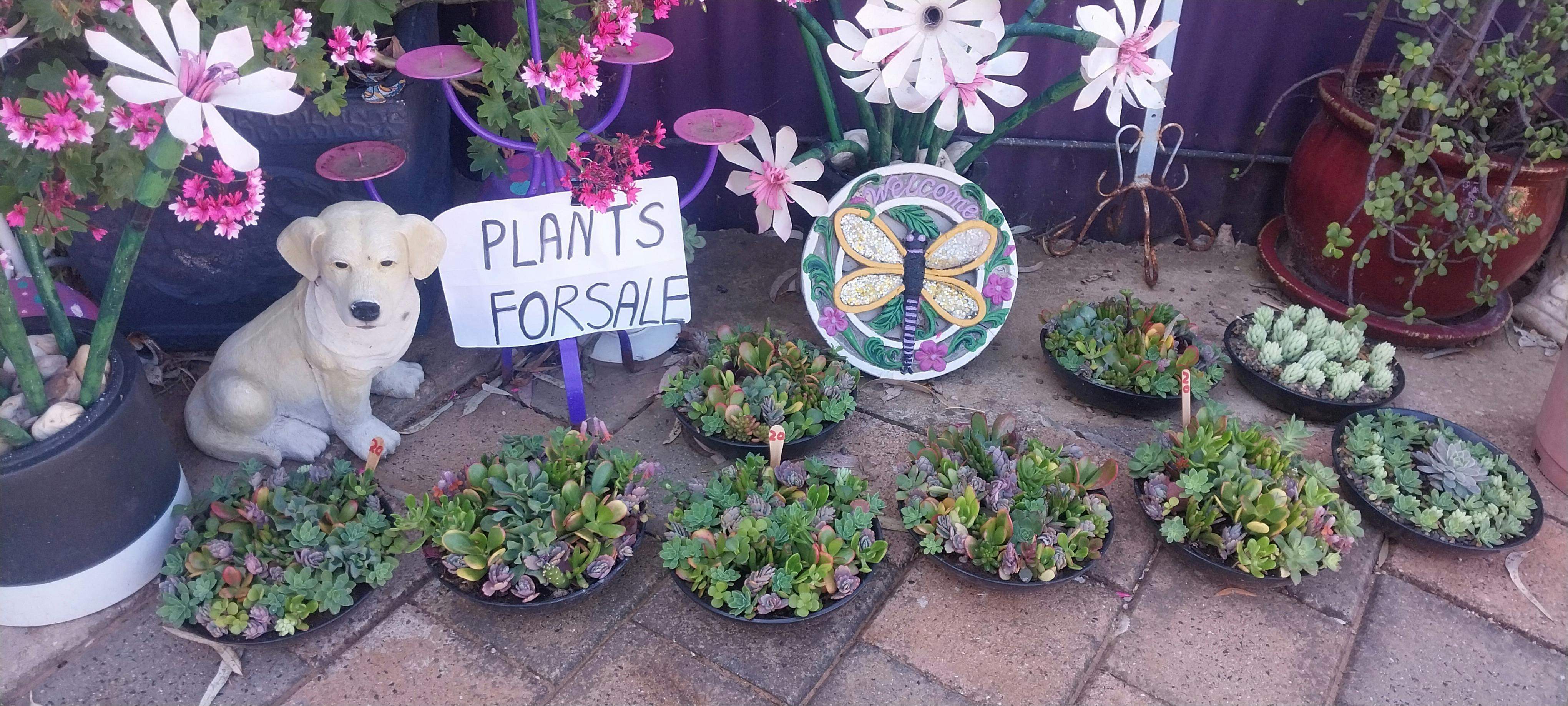 0Cd3B1C7B7F5483F541290C91331B3D1