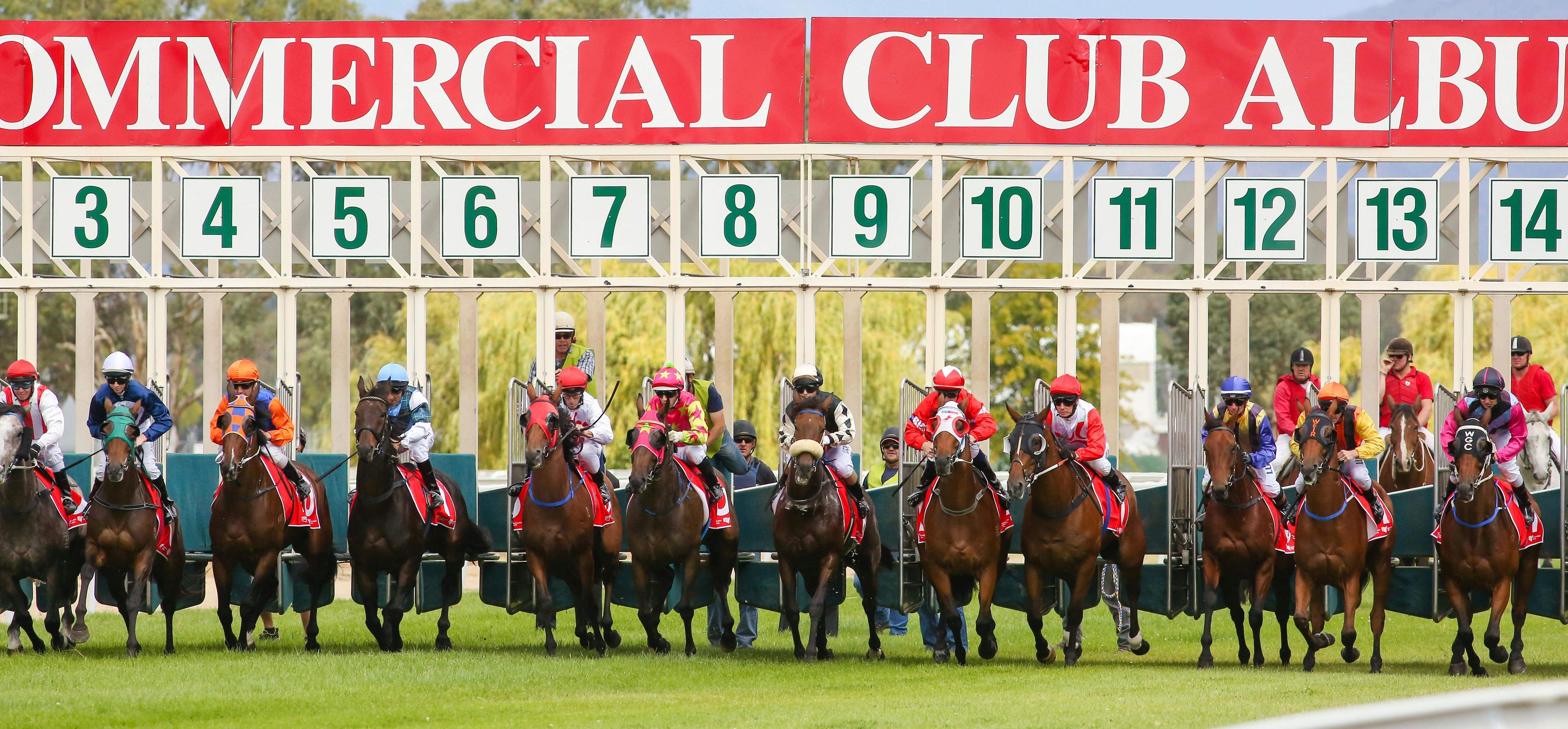 1862D2E6B9876024Cb6Bbb6024B5Cacc