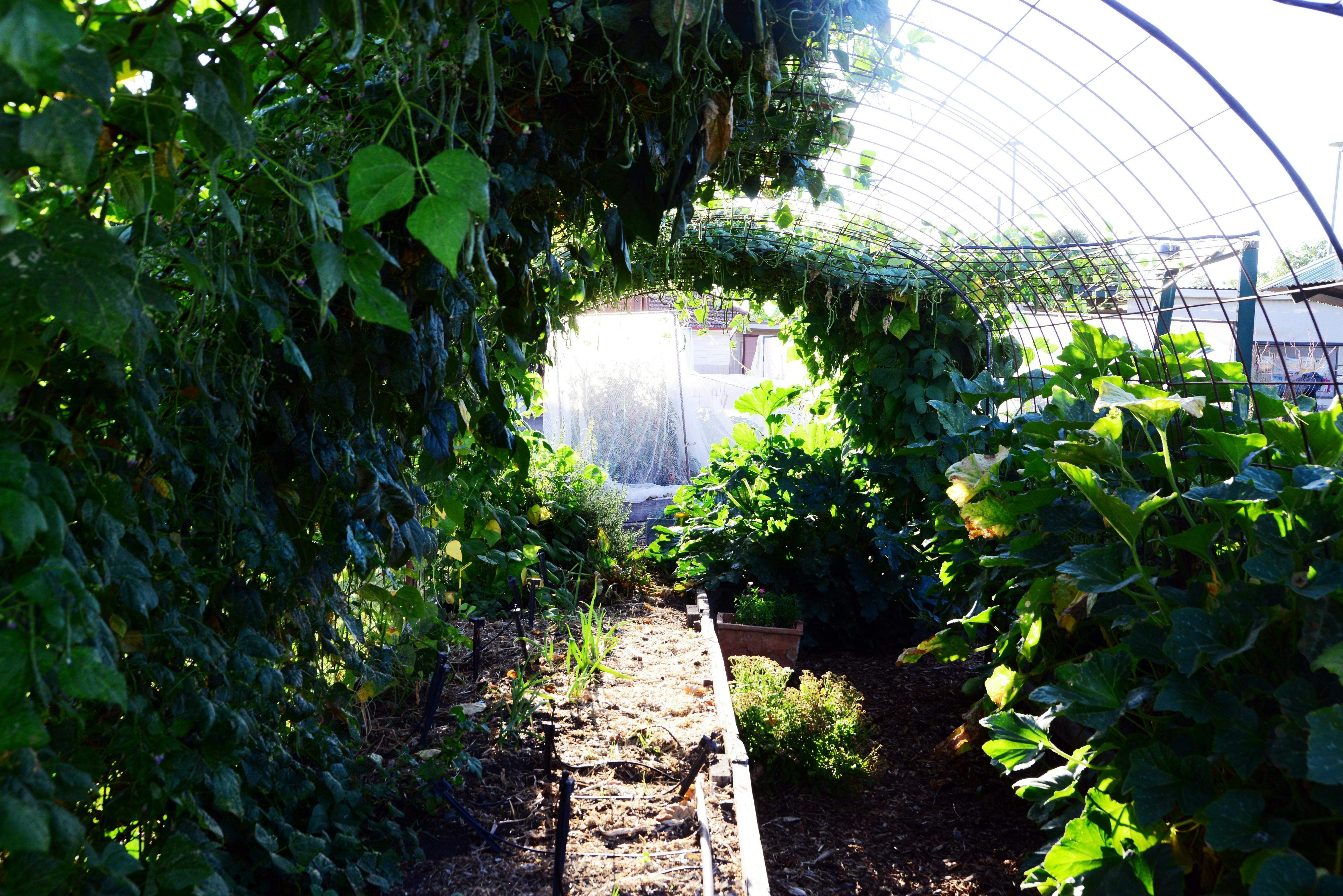 8E667588Fc55Abaf90F2Add677372D08