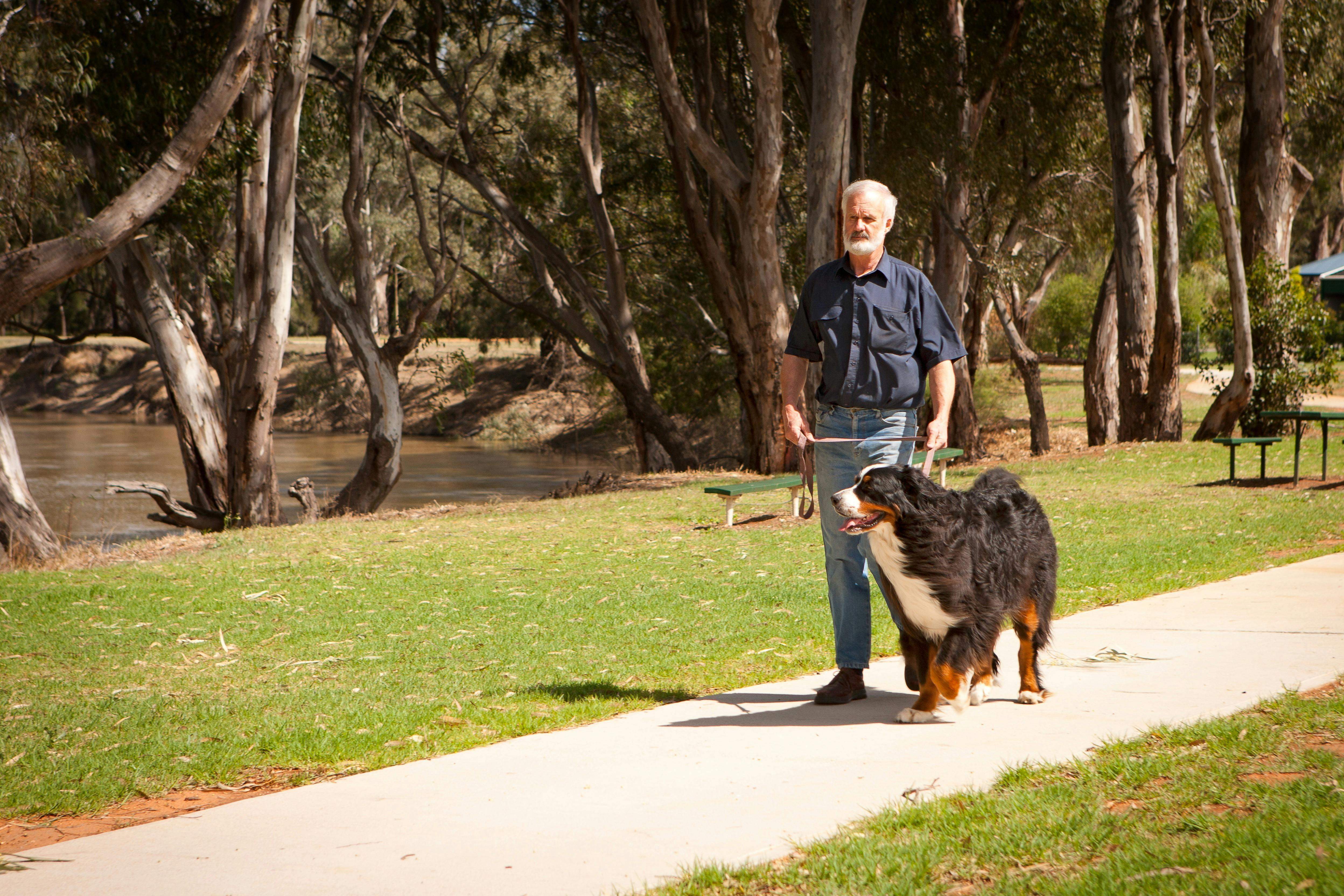 0D509091Dfd5E13Aa52035227036026D