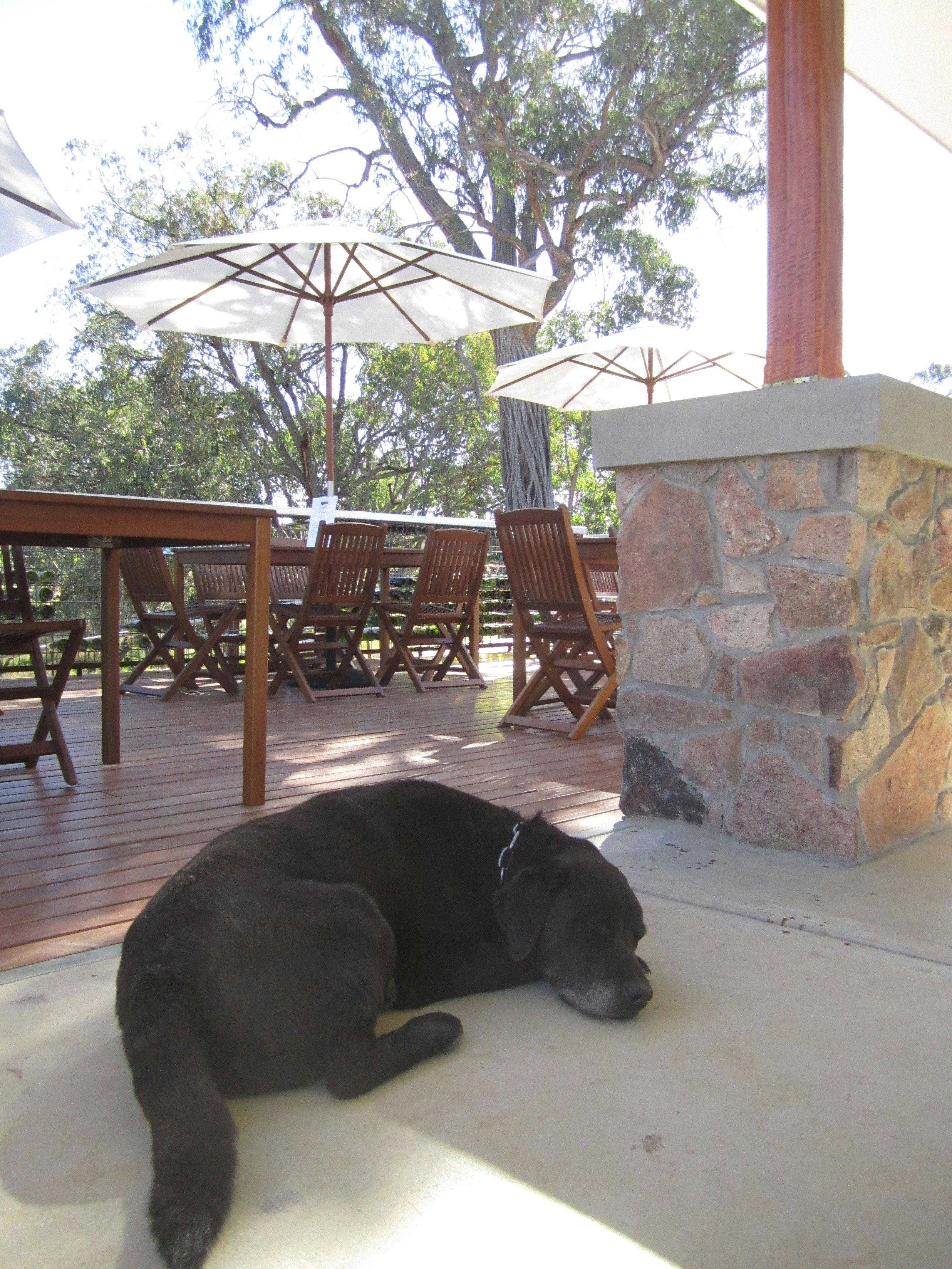 0983Ac715A76D8502F683869Fc342440